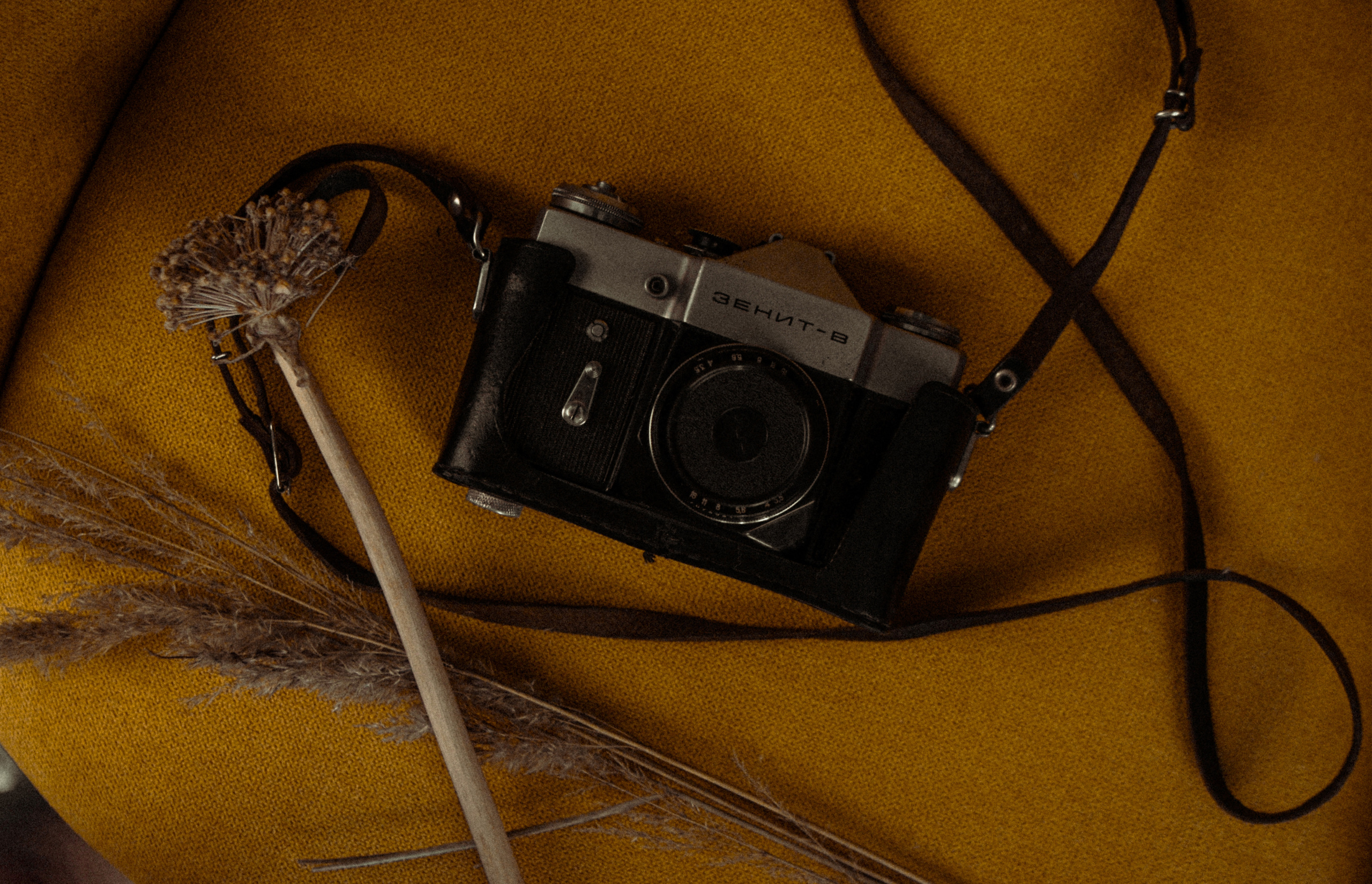 Услуги. Алина Стрелкова — фотограф