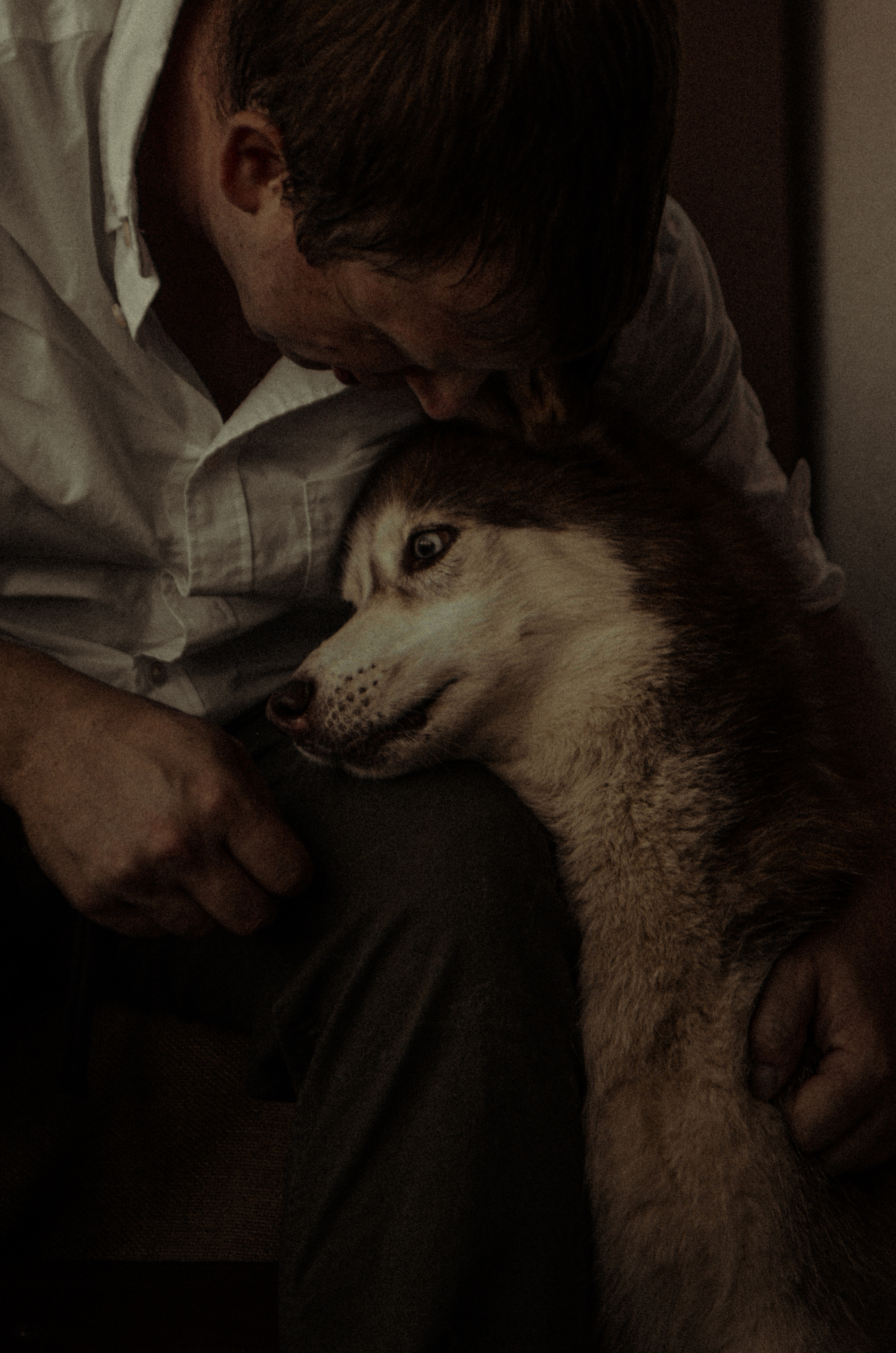 Андрей с пёселями. Алина Стрелкова — фотограф