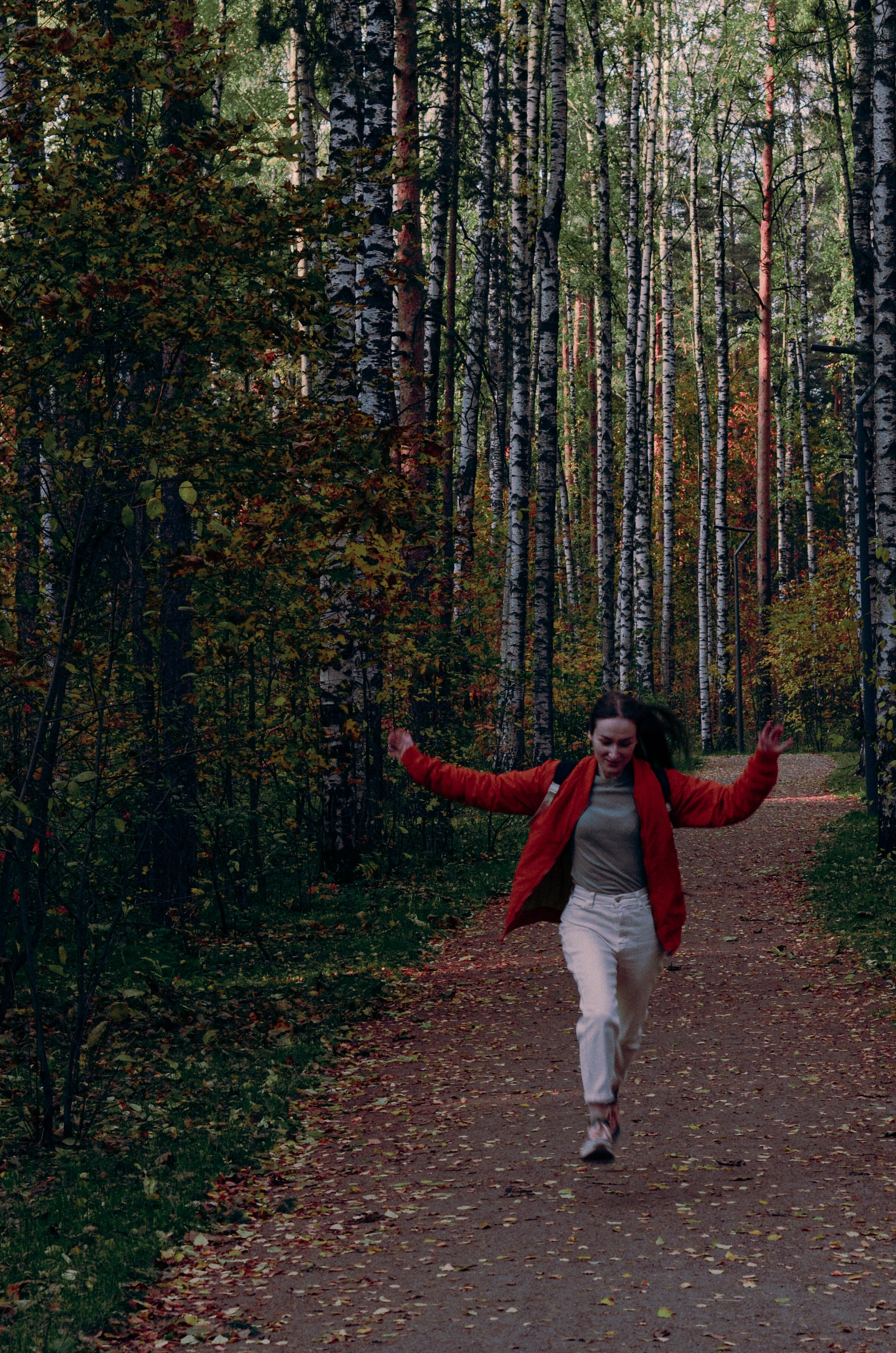 Осенний лес. Алина Стрелкова — фотограф