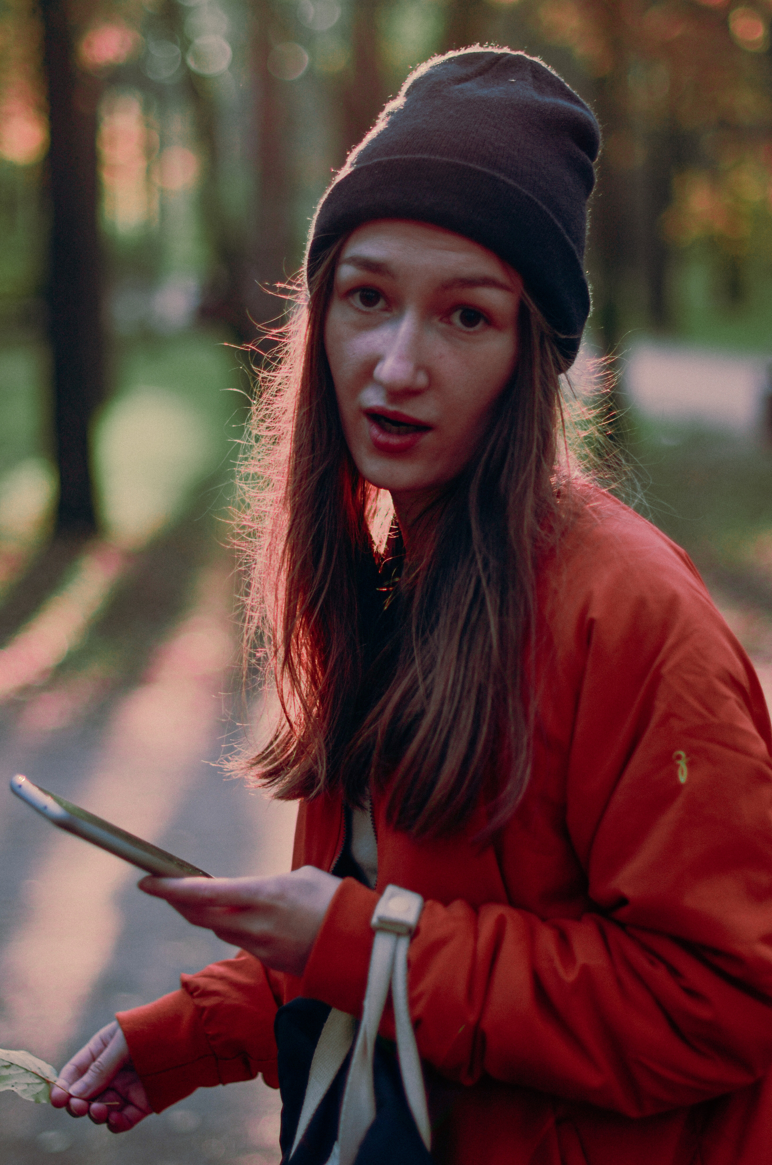 Осенний лес. Алина Стрелкова — фотограф