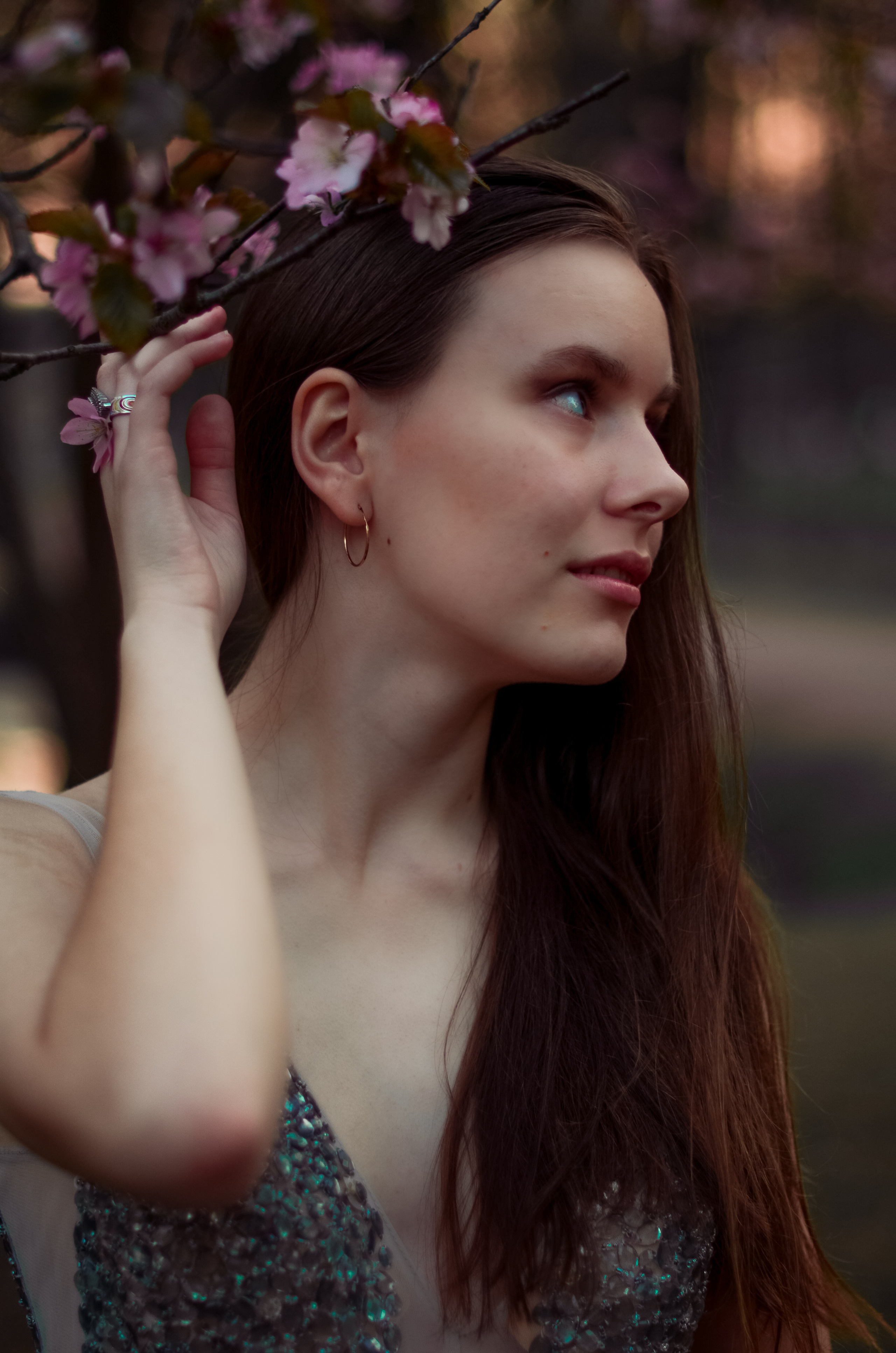 Май, цветущая сакура. Алина Стрелкова — фотограф