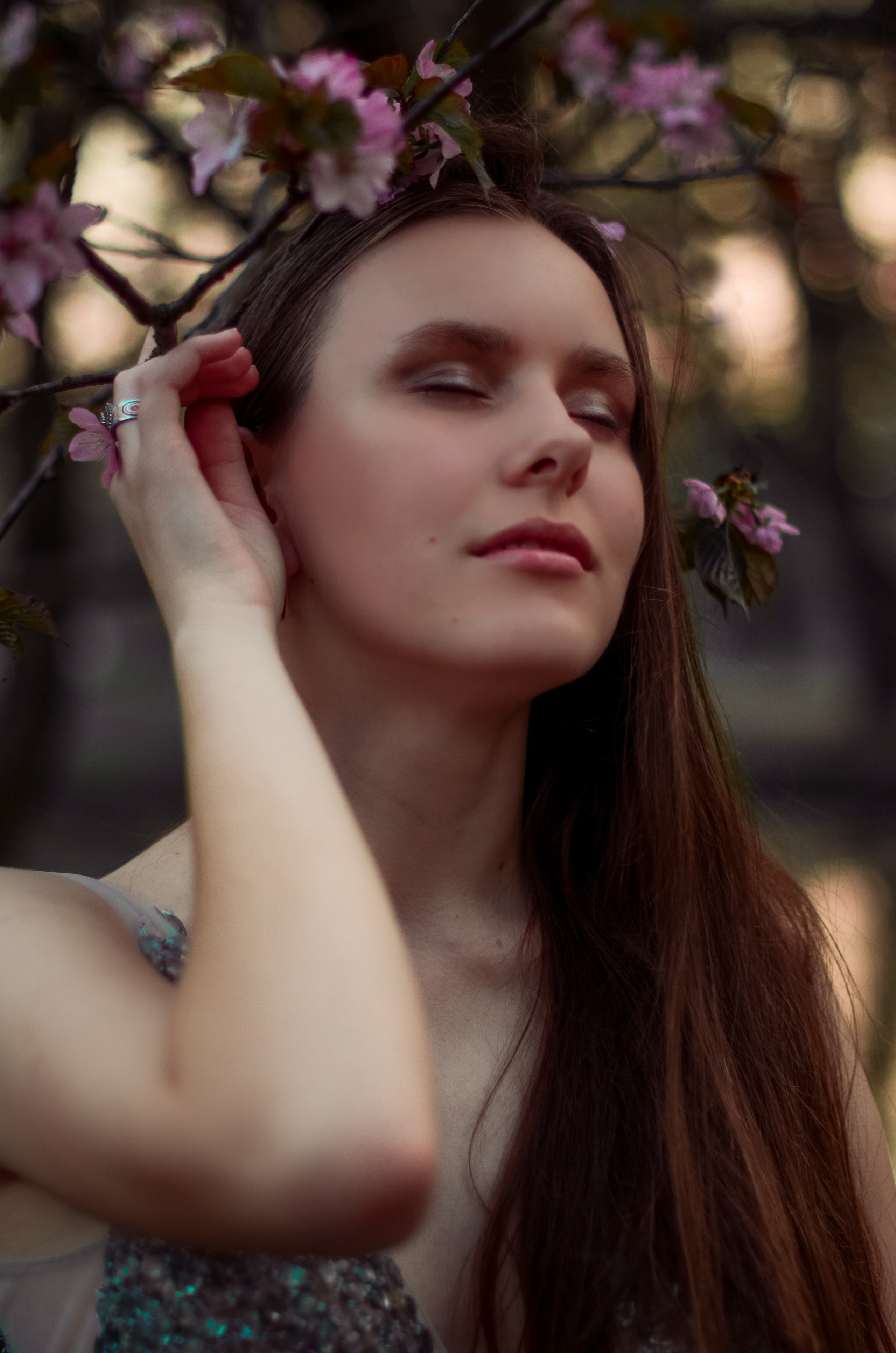 Май, цветущая сакура. Алина Стрелкова — фотограф