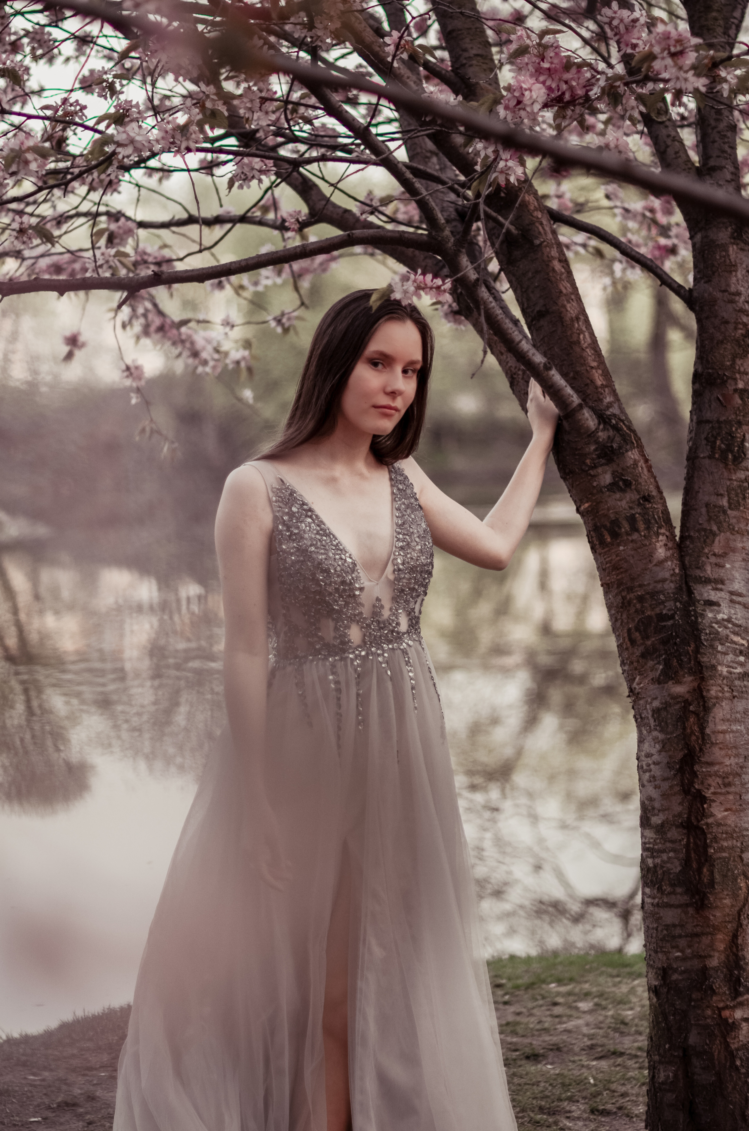 Май, цветущая сакура. Алина Стрелкова — фотограф