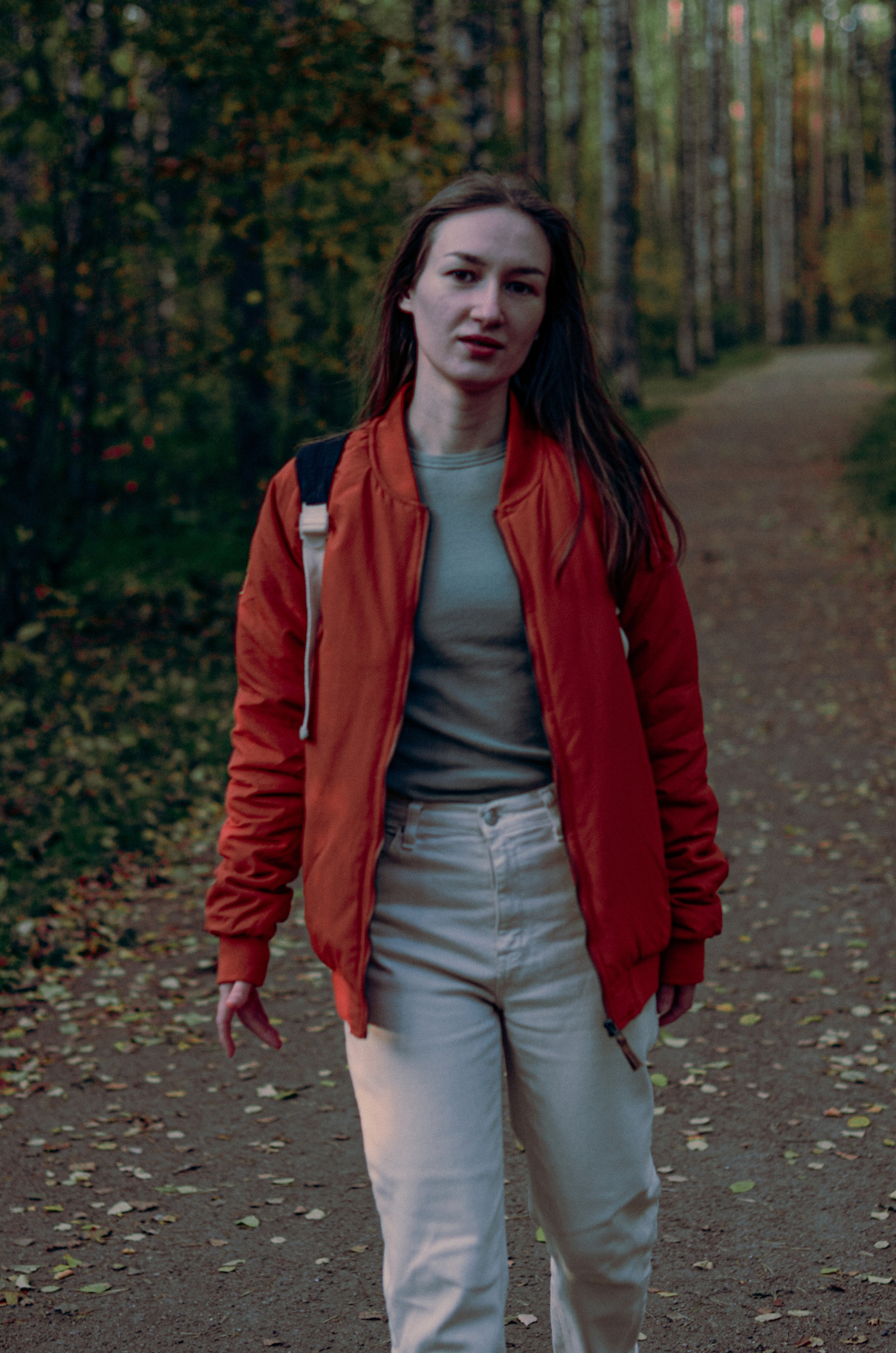 Осенний лес. Алина Стрелкова — фотограф