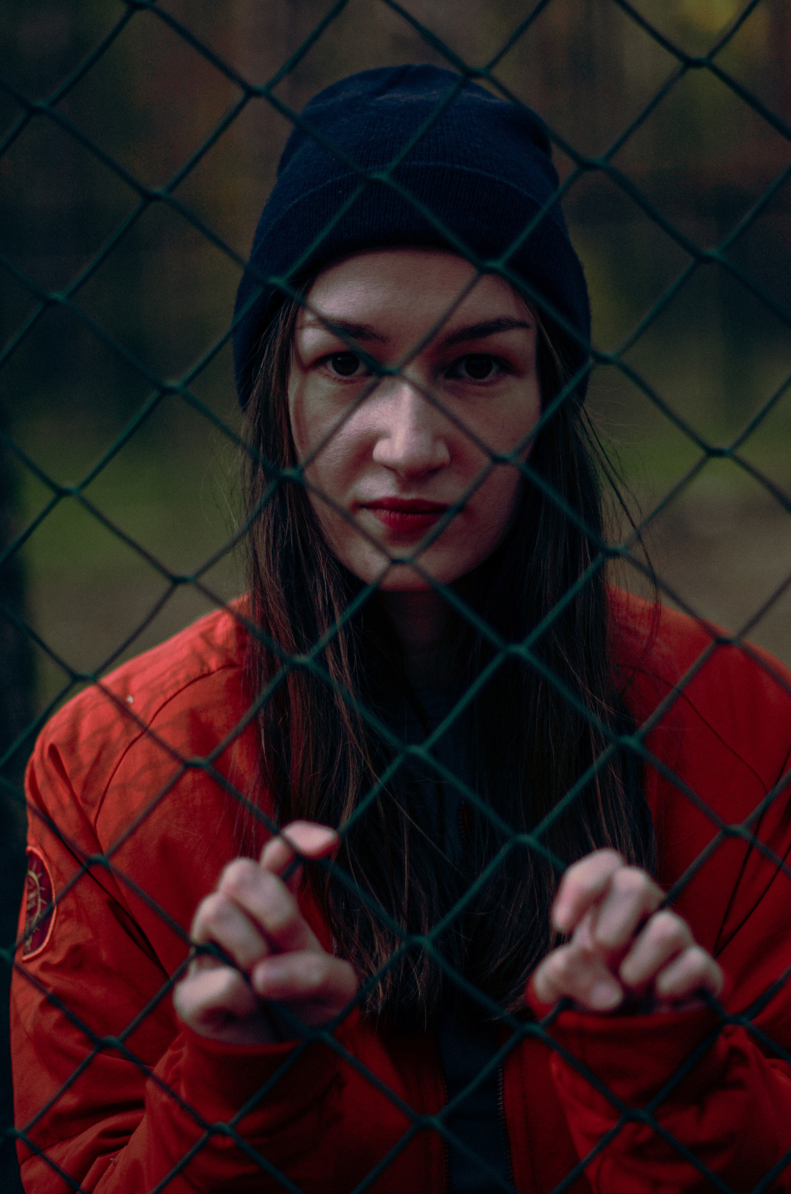 Осенний лес. Алина Стрелкова — фотограф