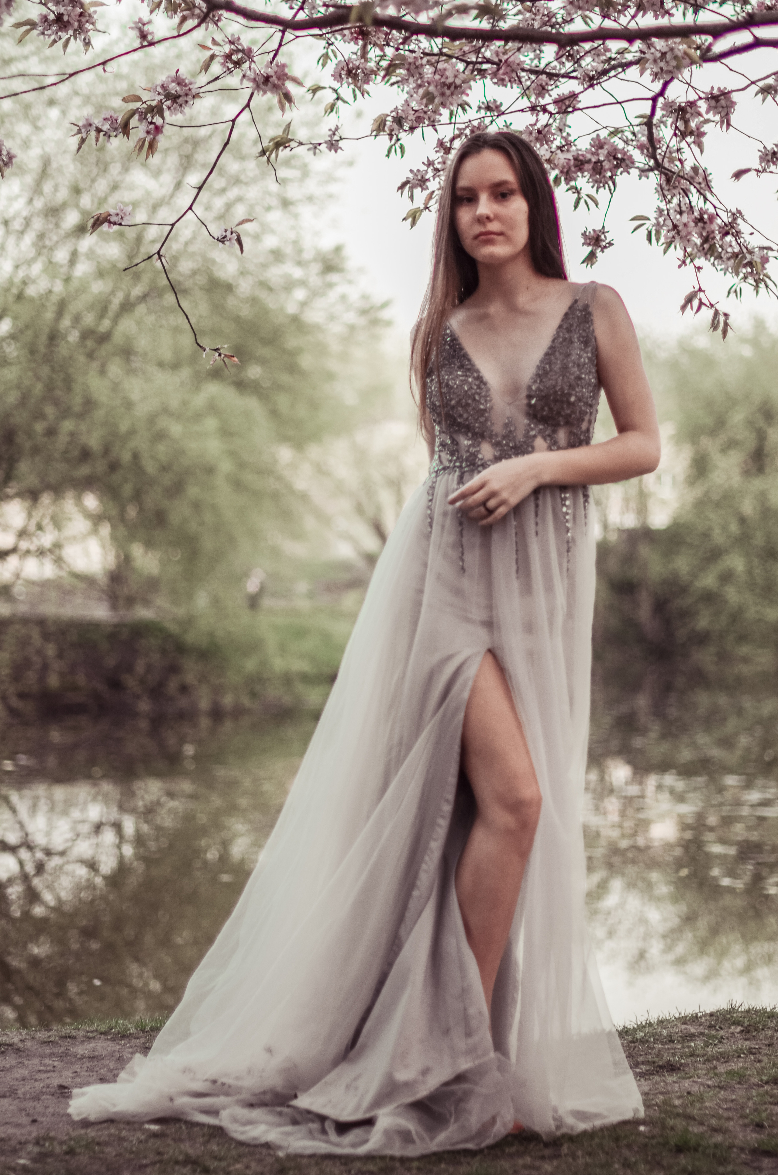 Май, цветущая сакура. Алина Стрелкова — фотограф