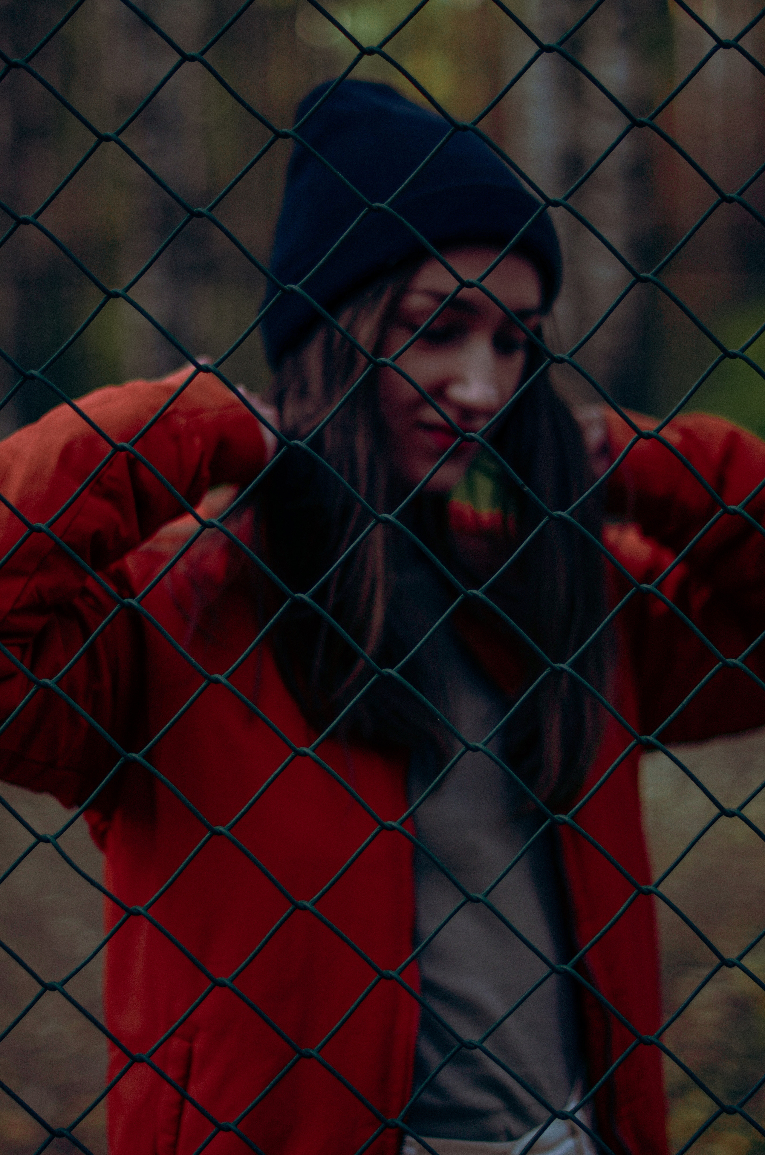 Осенний лес. Алина Стрелкова — фотограф