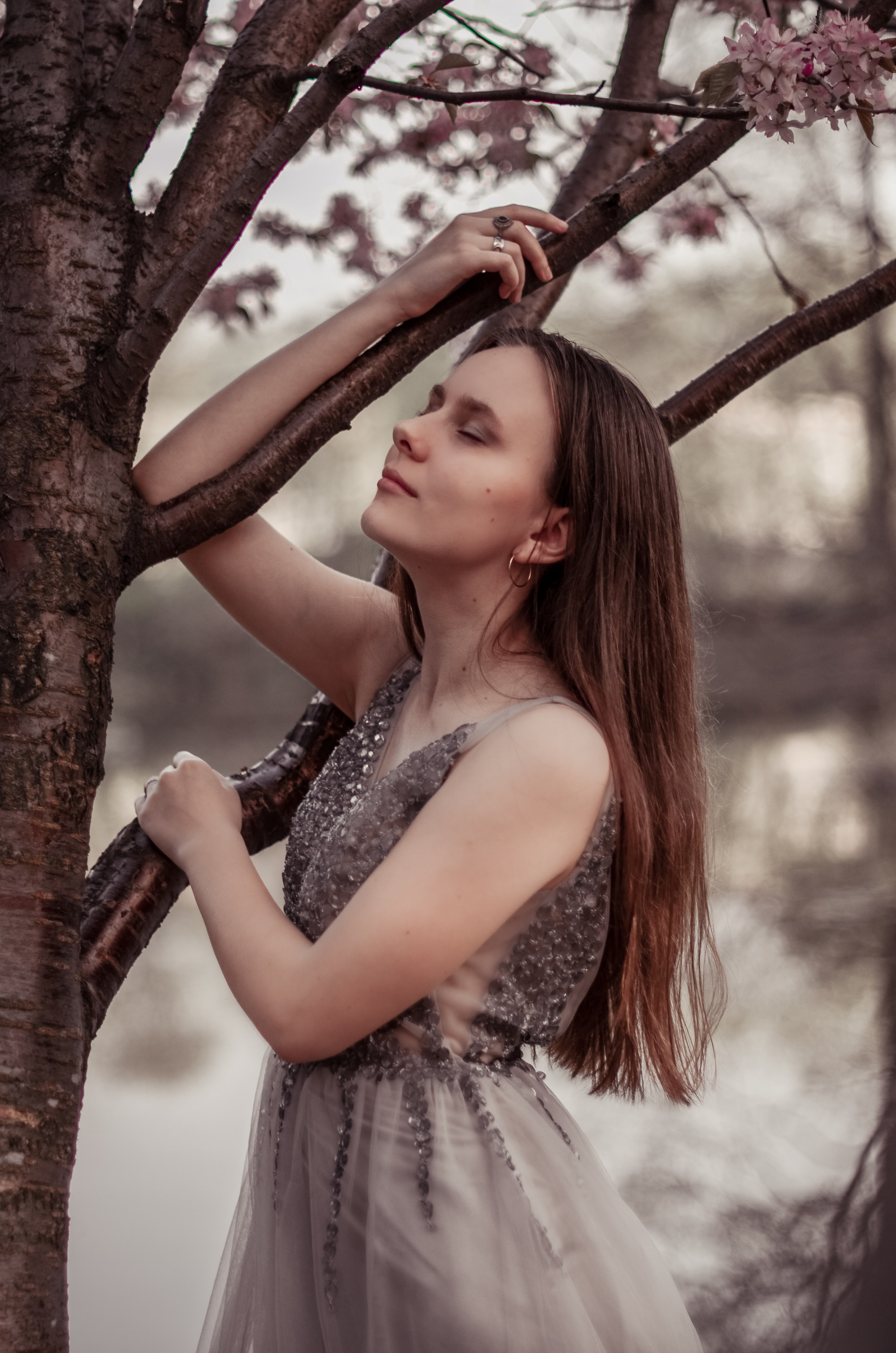 Май, цветущая сакура. Алина Стрелкова — фотограф