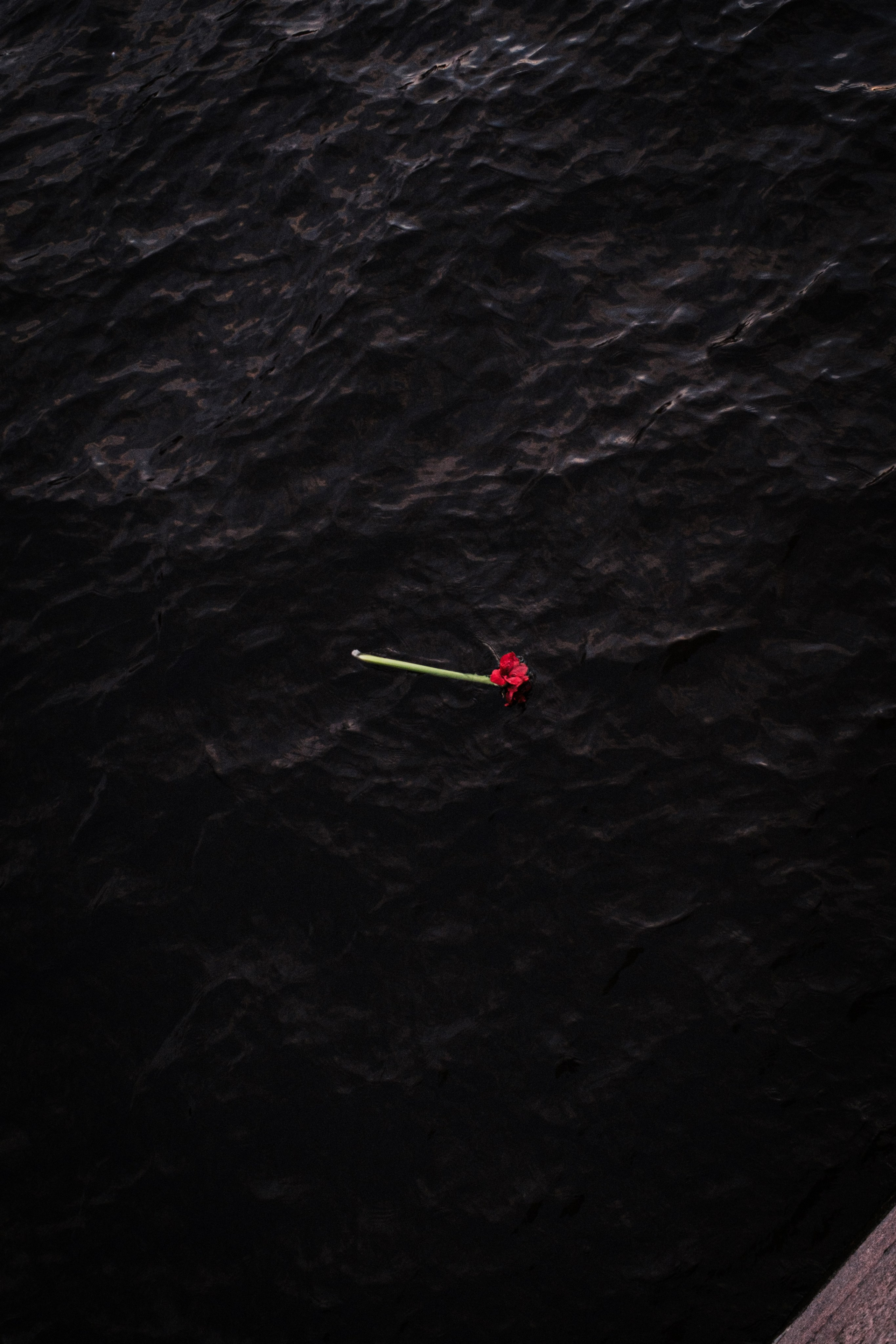 Фотограф из Санкт-Петербурга. Снимаю портреты, свадьбы и репортажи