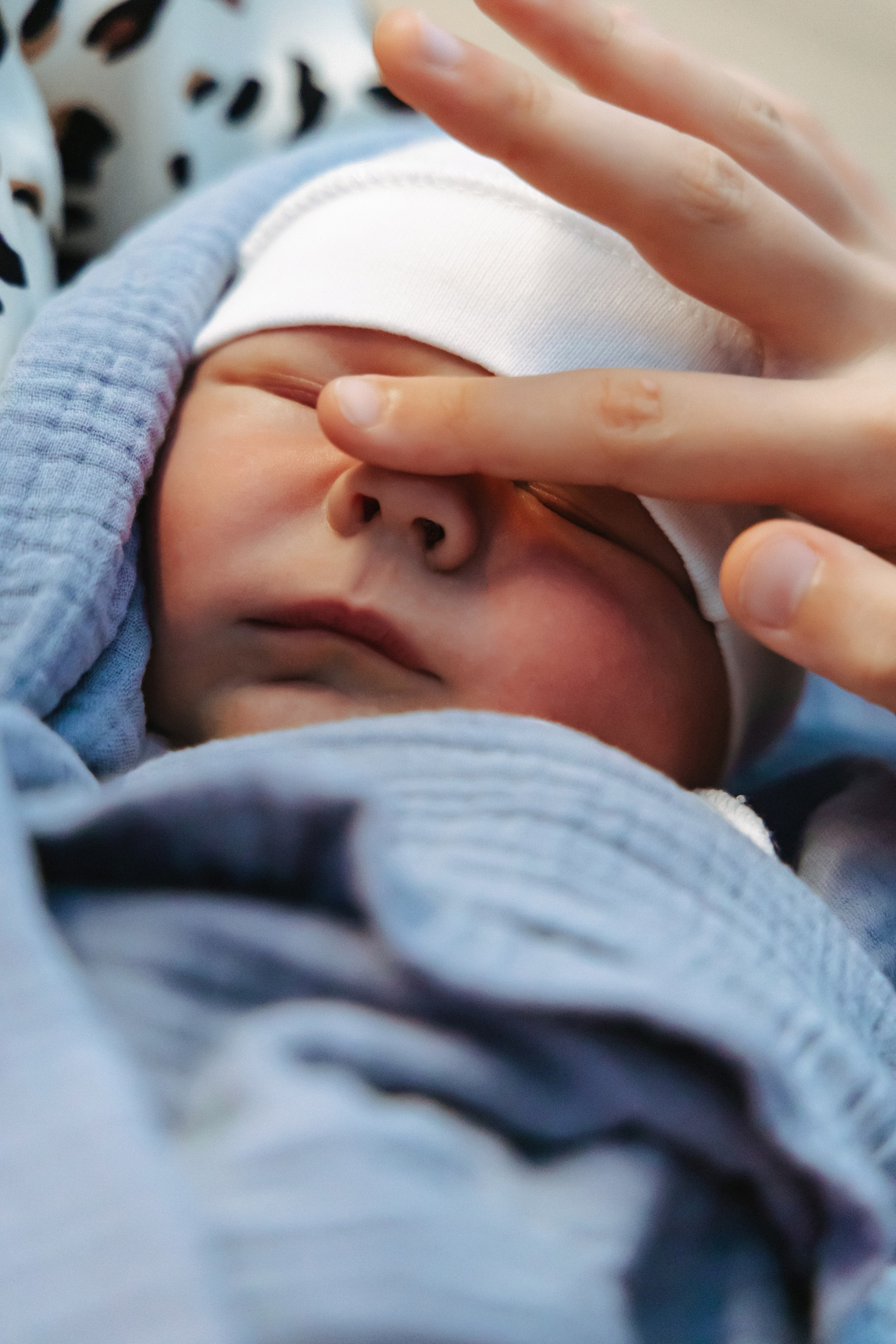 Екатерининская 3.08. Свадебный и семейный фотограф в Краснодаре Диана Смирнова