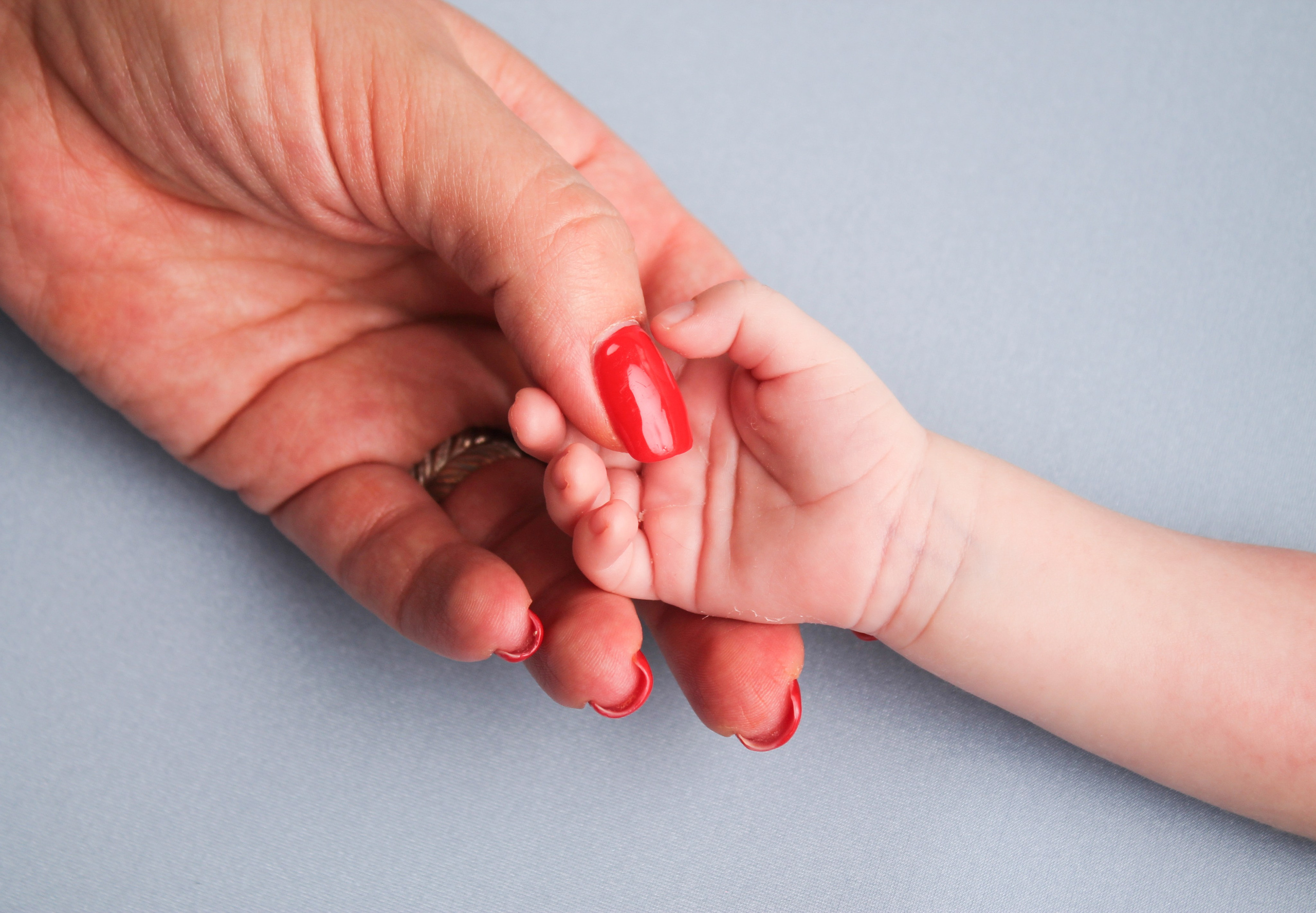 Пелег. Photograper Israel/фотограф Израиль. ALINA TARAN