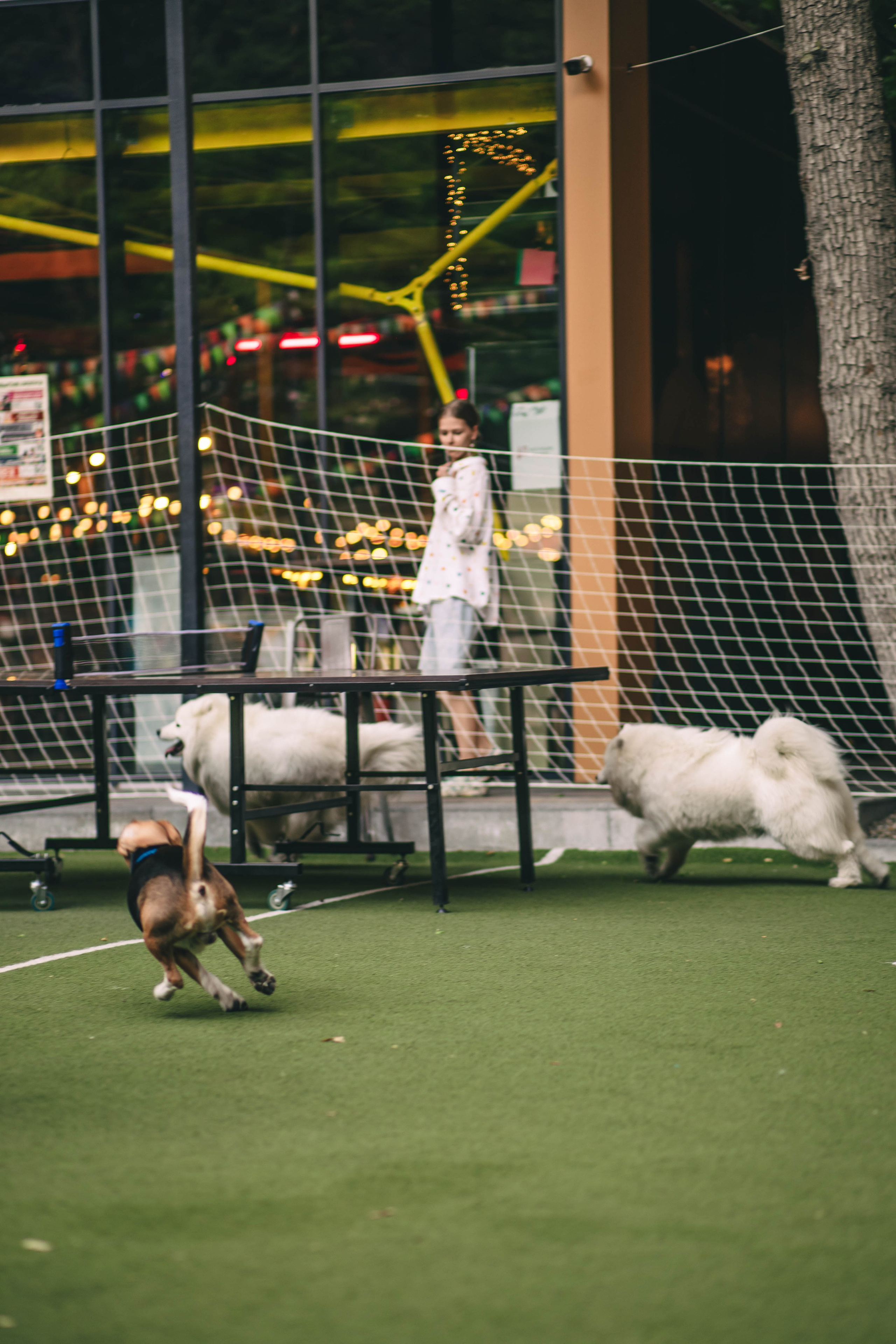 Pet-Party + Live-music |Парк Культуры. Фотограф в Ставрополе Алина Клочкова