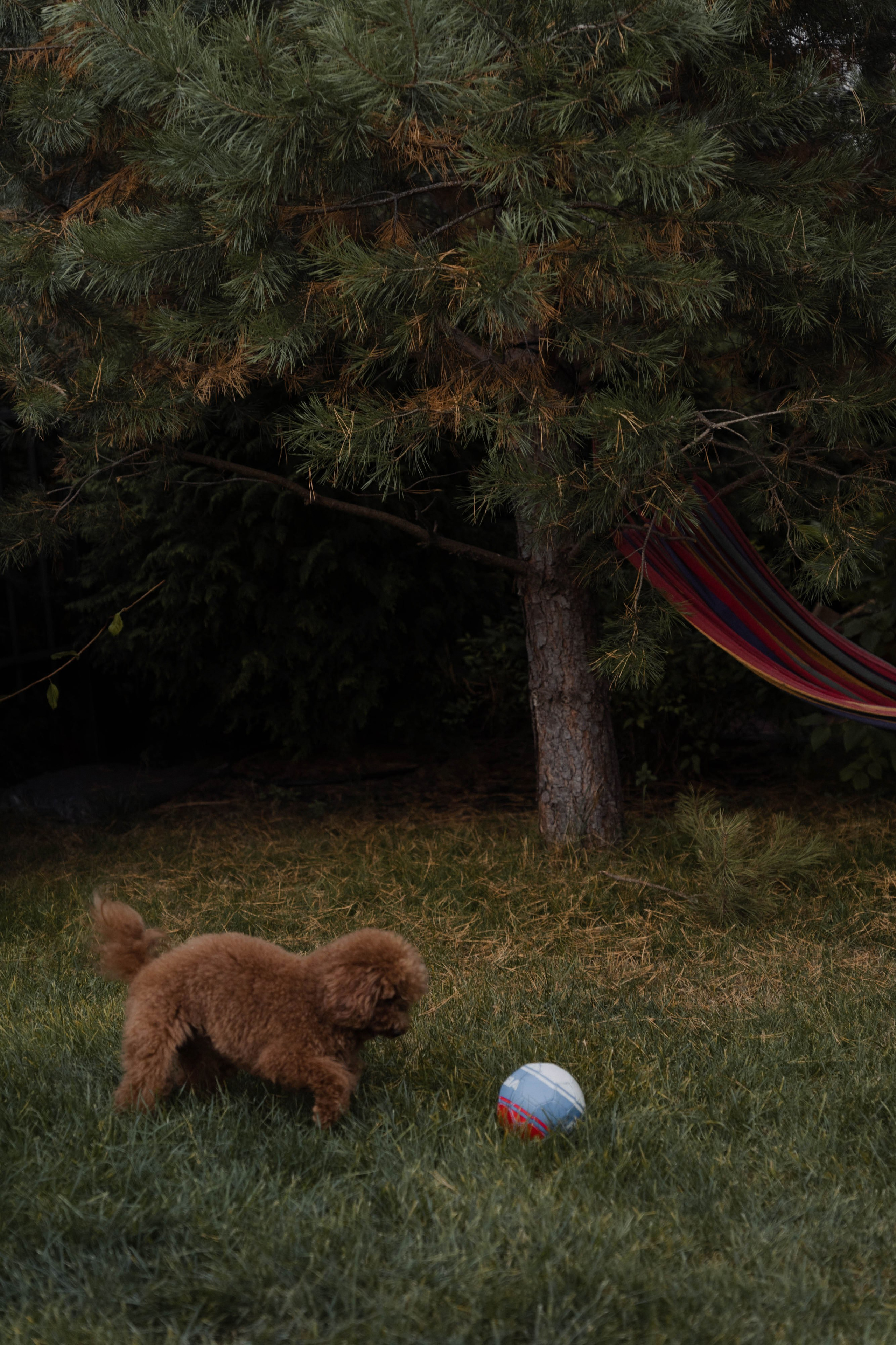 Семейные истории. ФОТОГРАФ КСЕНИЯ СОСНОВСКАЯ