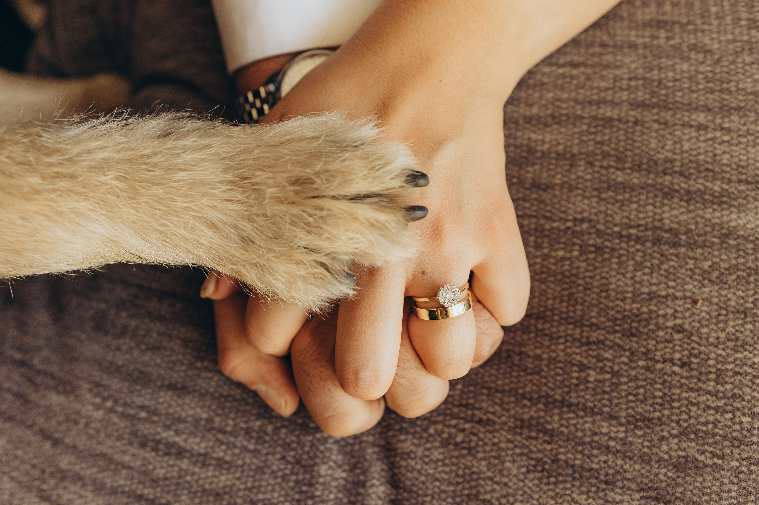 Химена и Мануэль, Ариа и Буки. Ирина Крохалева. Семейный фотограф в Екатеринбурге