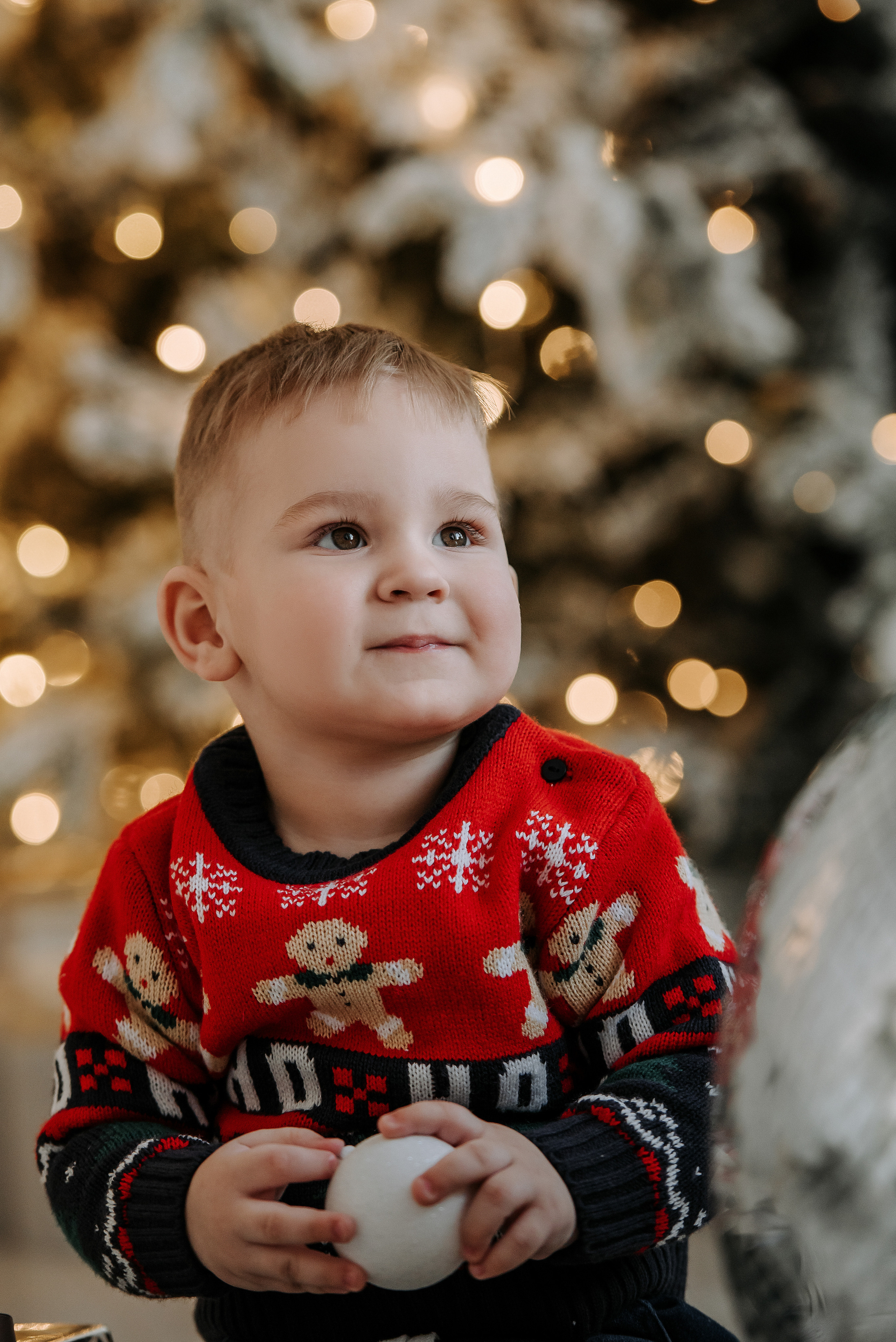 Семейная фотосессия на Новый Год. Фотограф Диана Оленина Красноярск / Братск