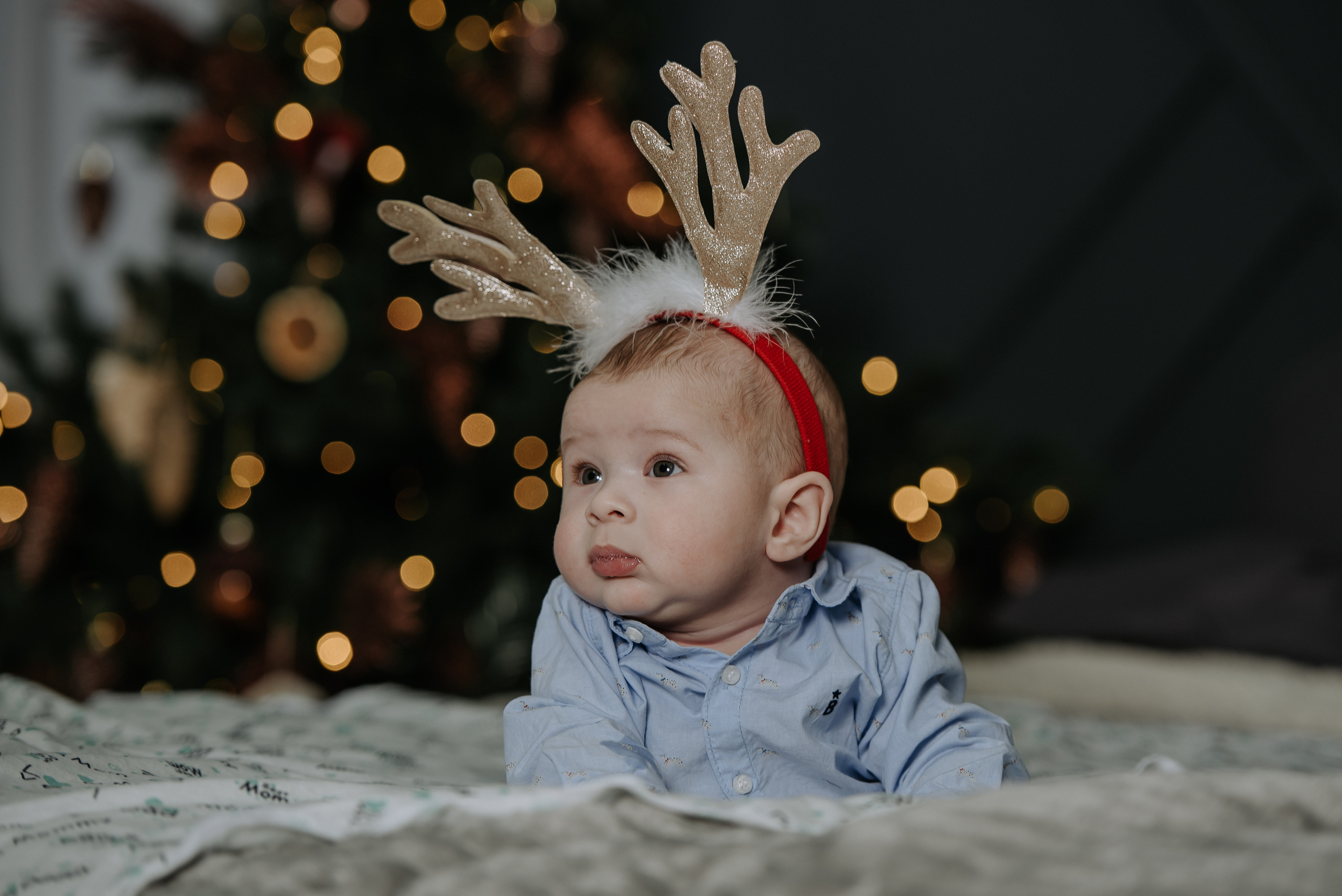 Семейная фотосессия на Новый Год. Фотограф Диана Оленина Красноярск / Братск