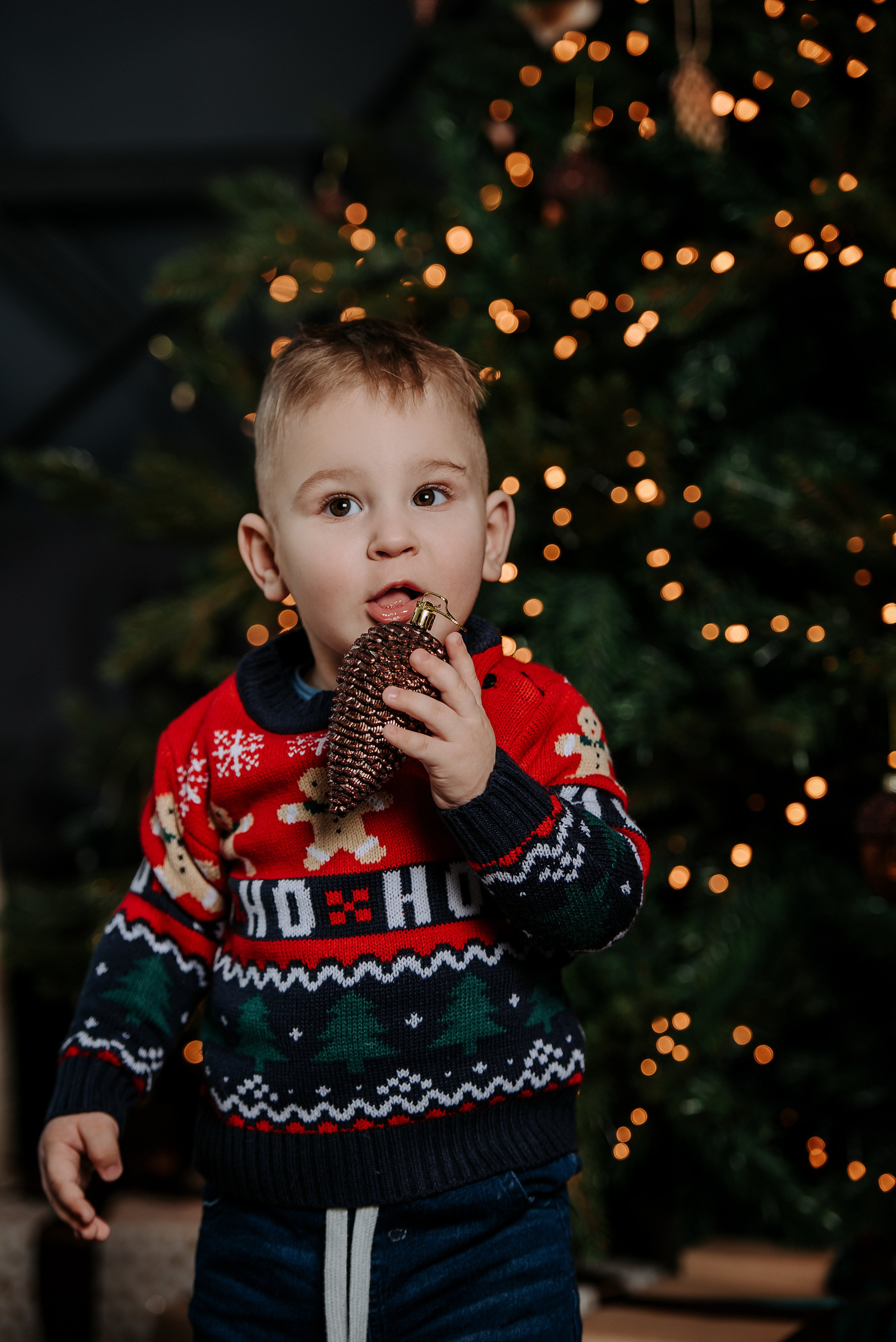 Семейная фотосессия на Новый Год. Фотограф Диана Оленина Красноярск / Братск