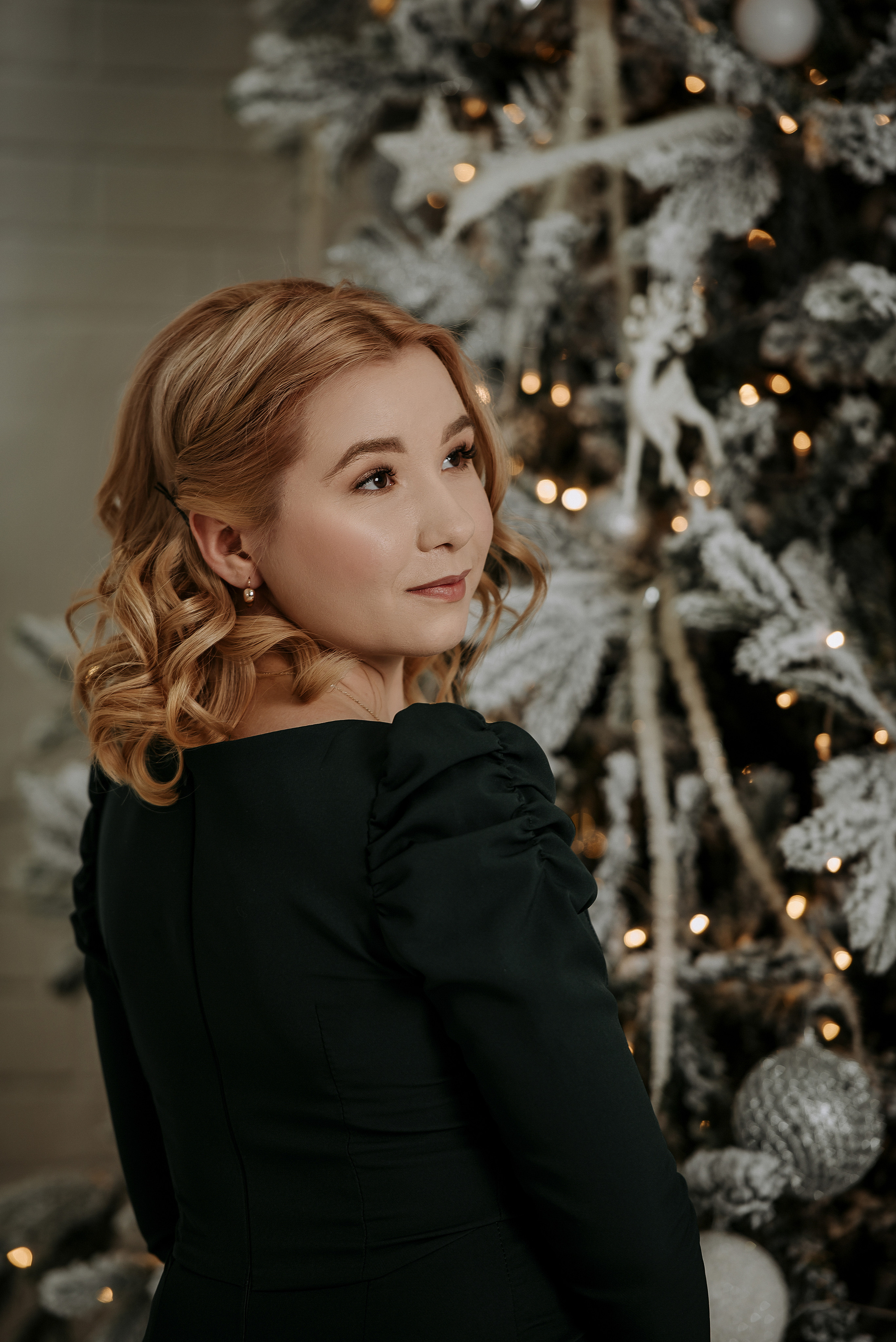 Индивидуальные новогодние фотосессии. Фотограф Диана Оленина Красноярск / Братск