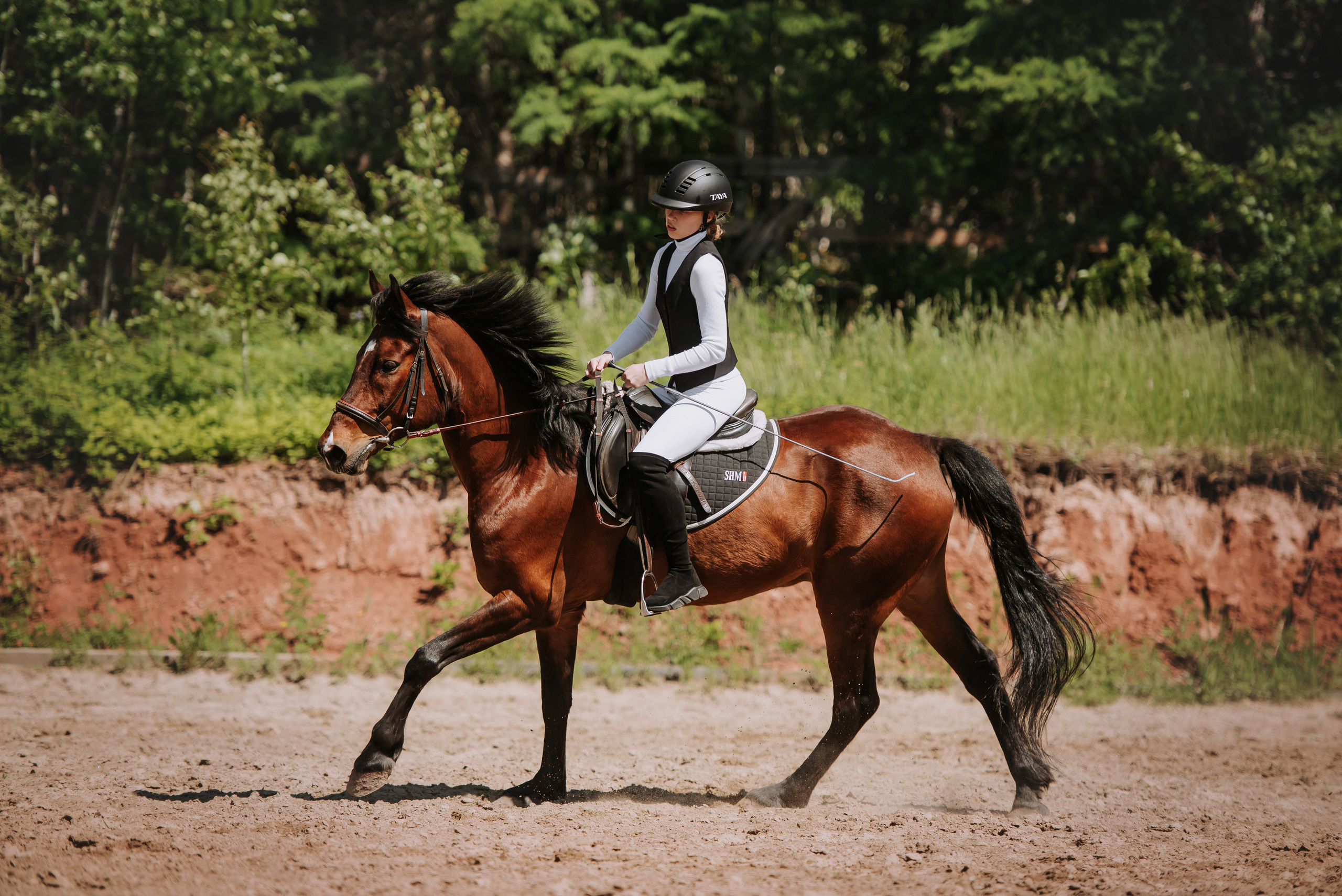 Конный мир Братск. Фотограф Диана Оленина Красноярск / Братск