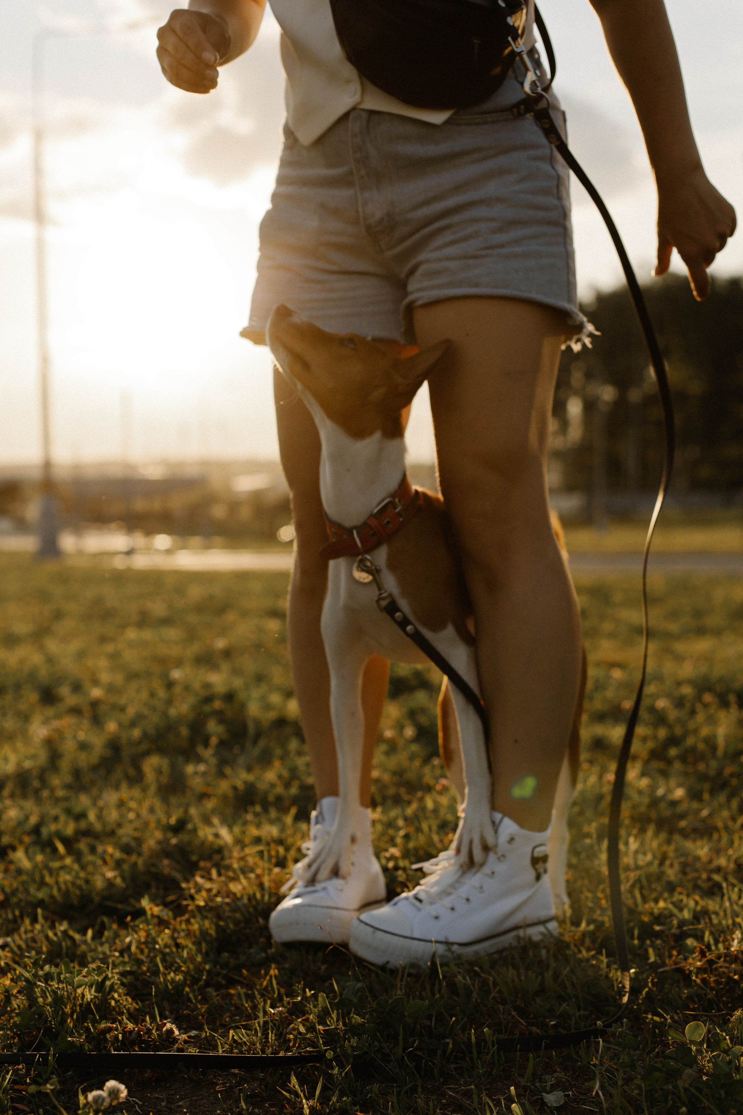 Съемка для Оксаны и Чили. Фотограф / Свадебный фотограф МОСКВА, КОММУНАРКА, КОВРОВ