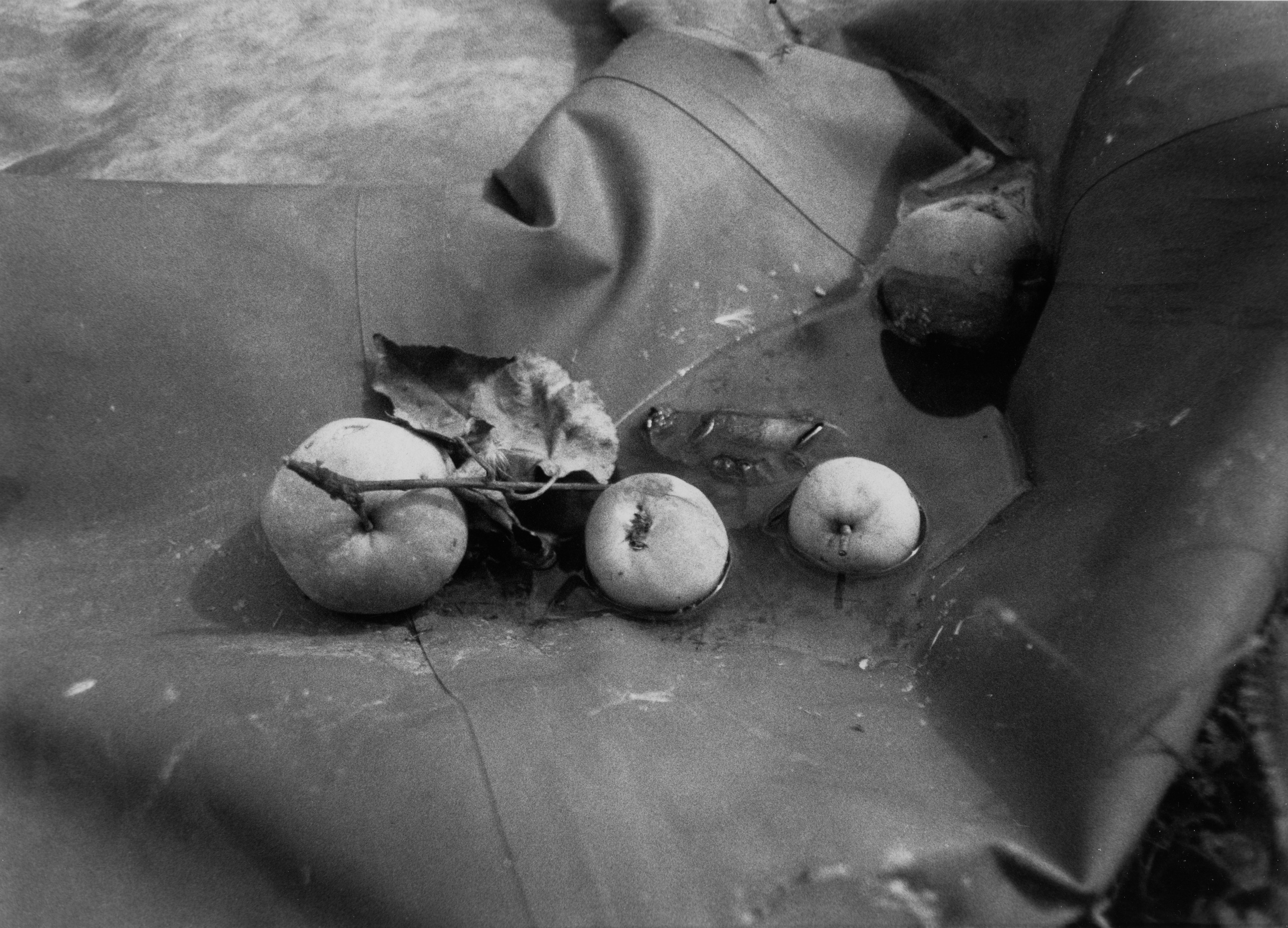 Prints. Maria Abdullaeva