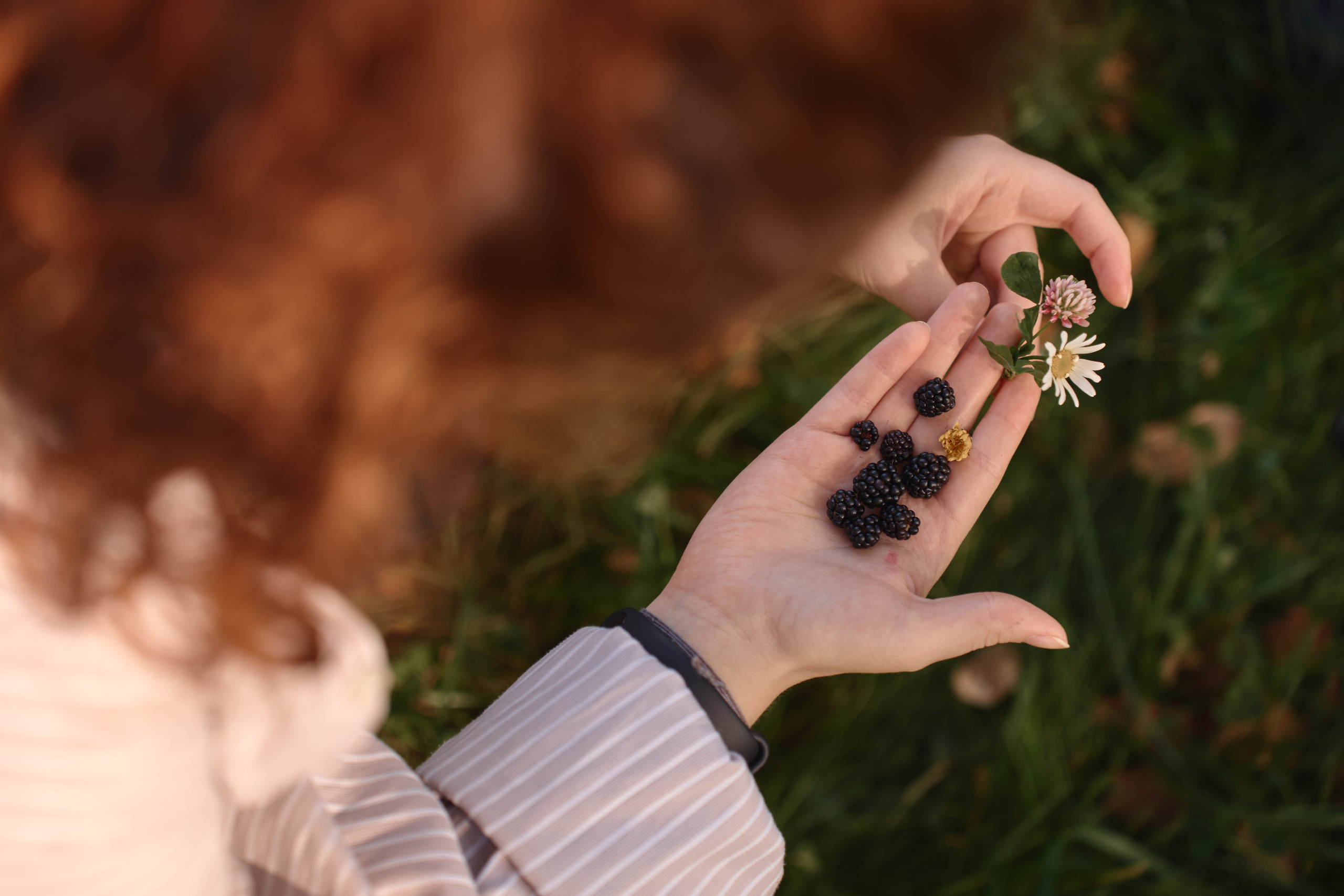 Семейный подряд по стрижке газона. Фотограф Женя Пашкина