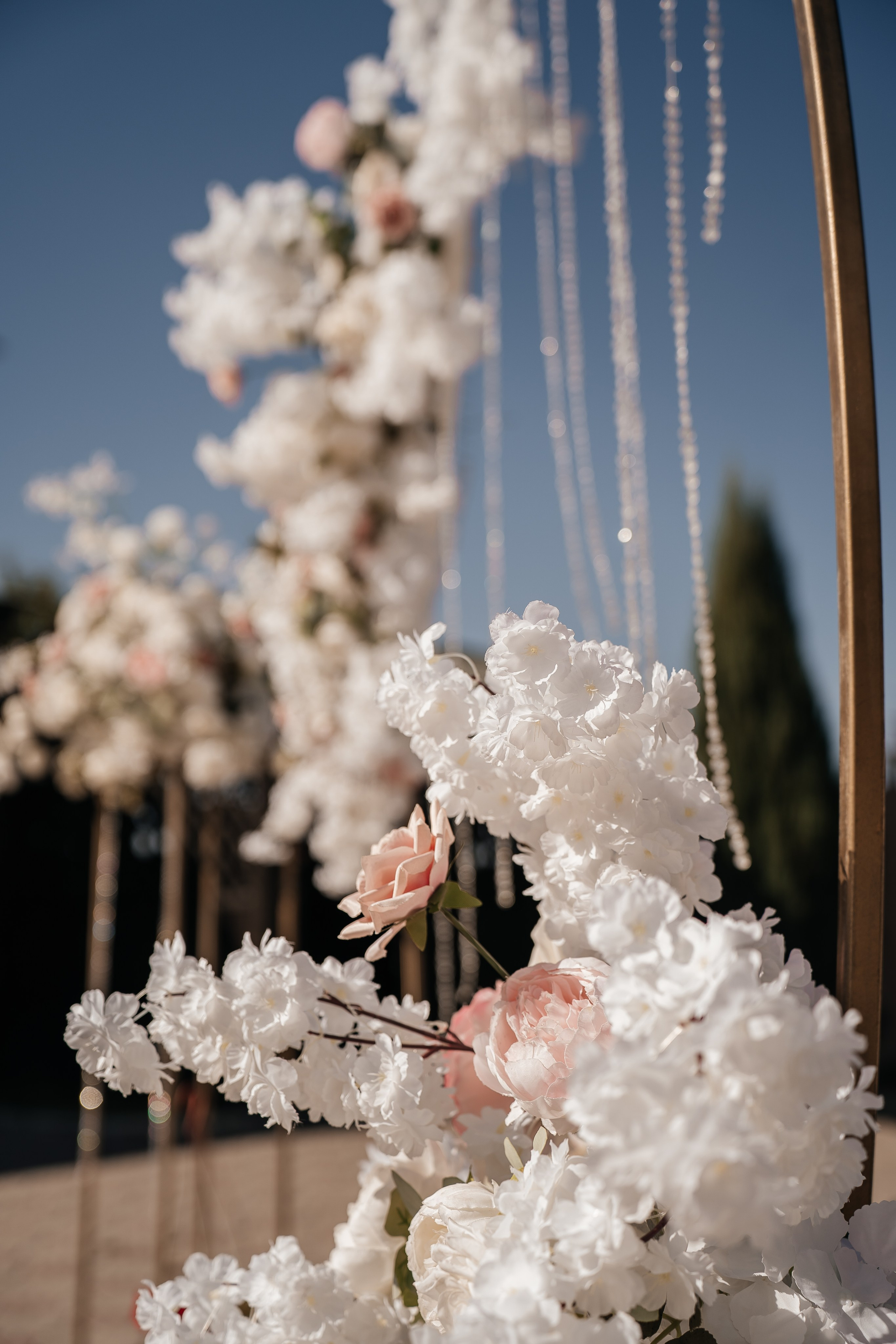 Максим и Анастасия. Полный день. Семейный и свадебный фотограф в Саратове Евангелина Штах