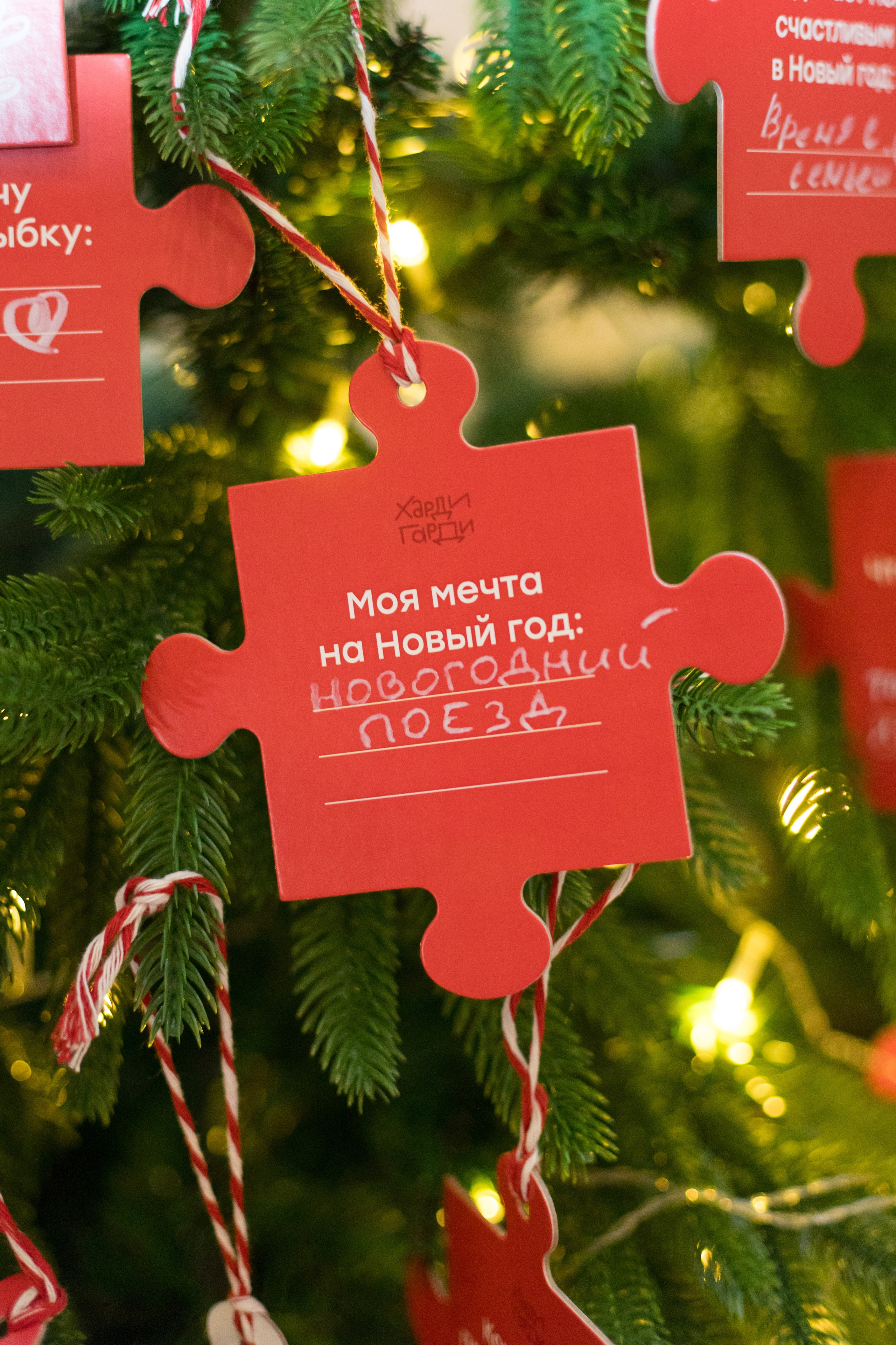 Семейный интерактивный праздник Харди Гарди и KARLSSON HOUS. Детский и контент фотограф Надя Волкова Санкт-Петербург