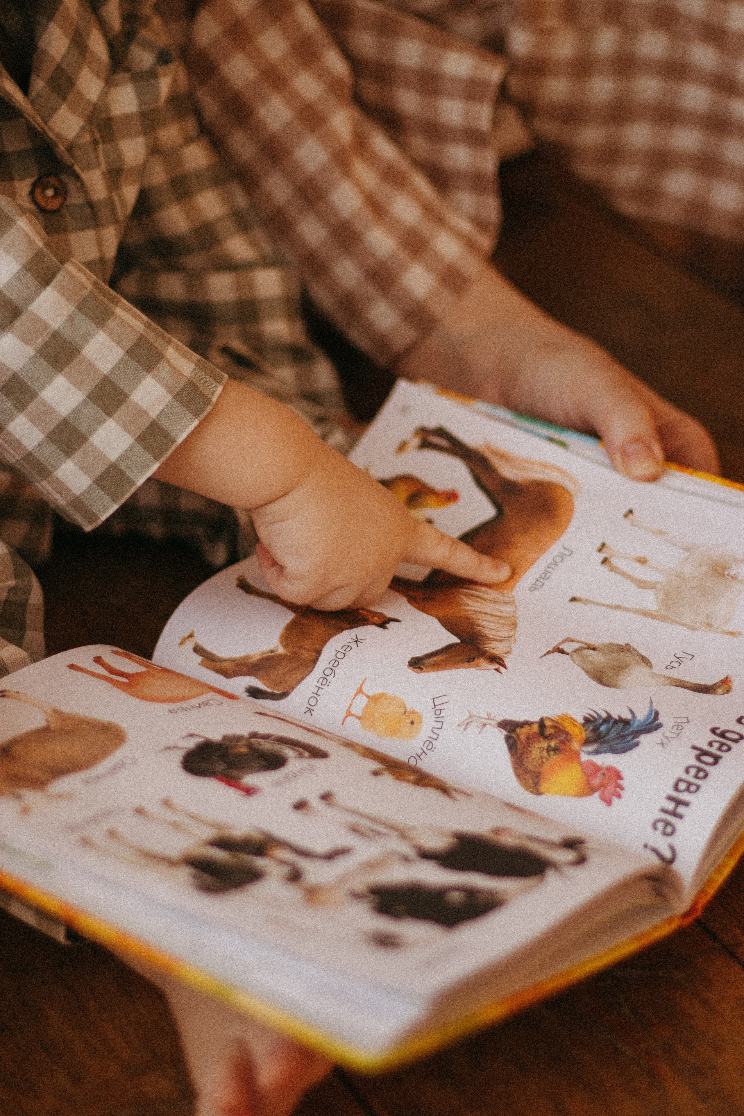 Детство. Фотограф в Чите Анастасия Чебан