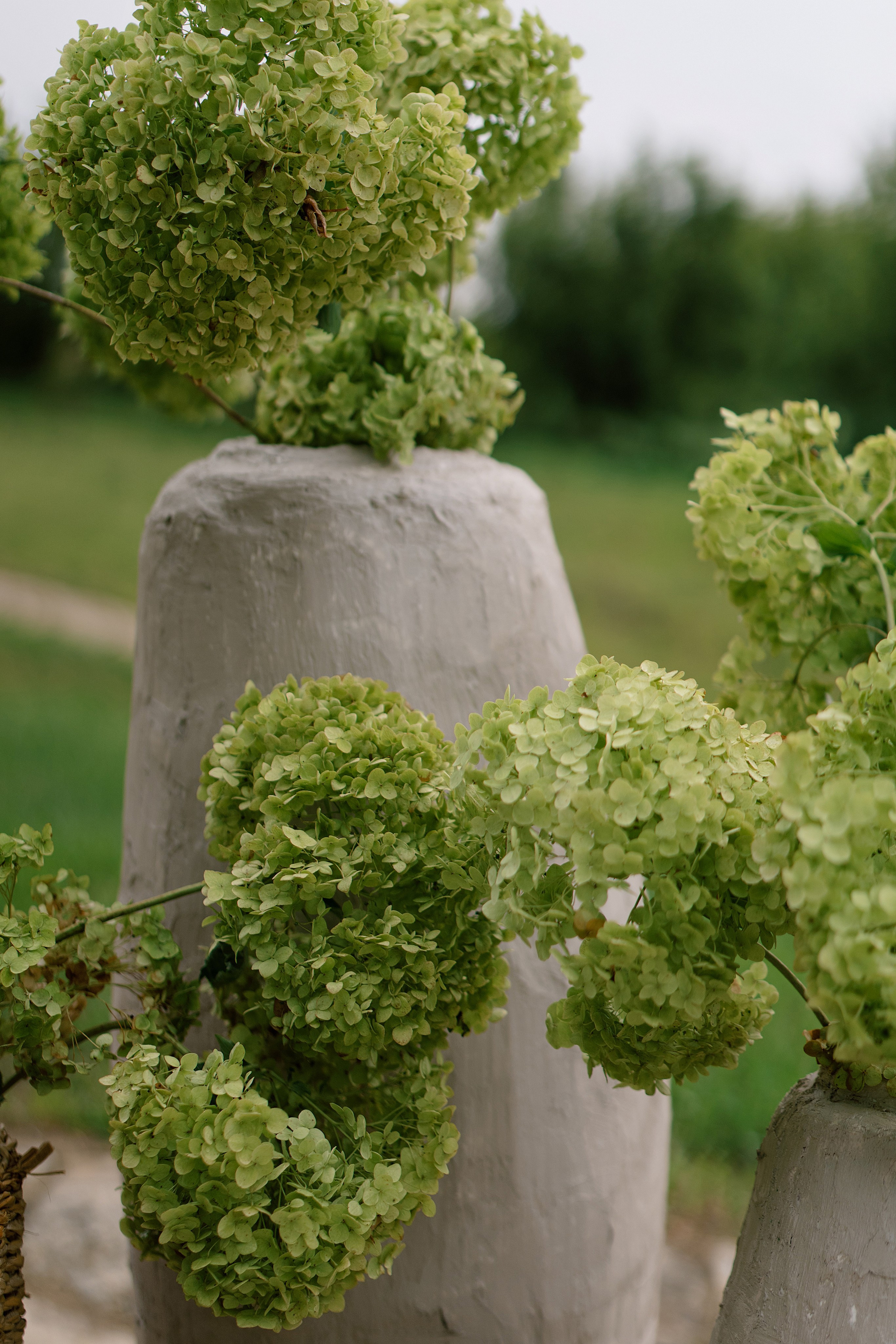 A&A. Пушистая Сова - Свадебный и портретный фотограф Воронеж, Москва, Питер