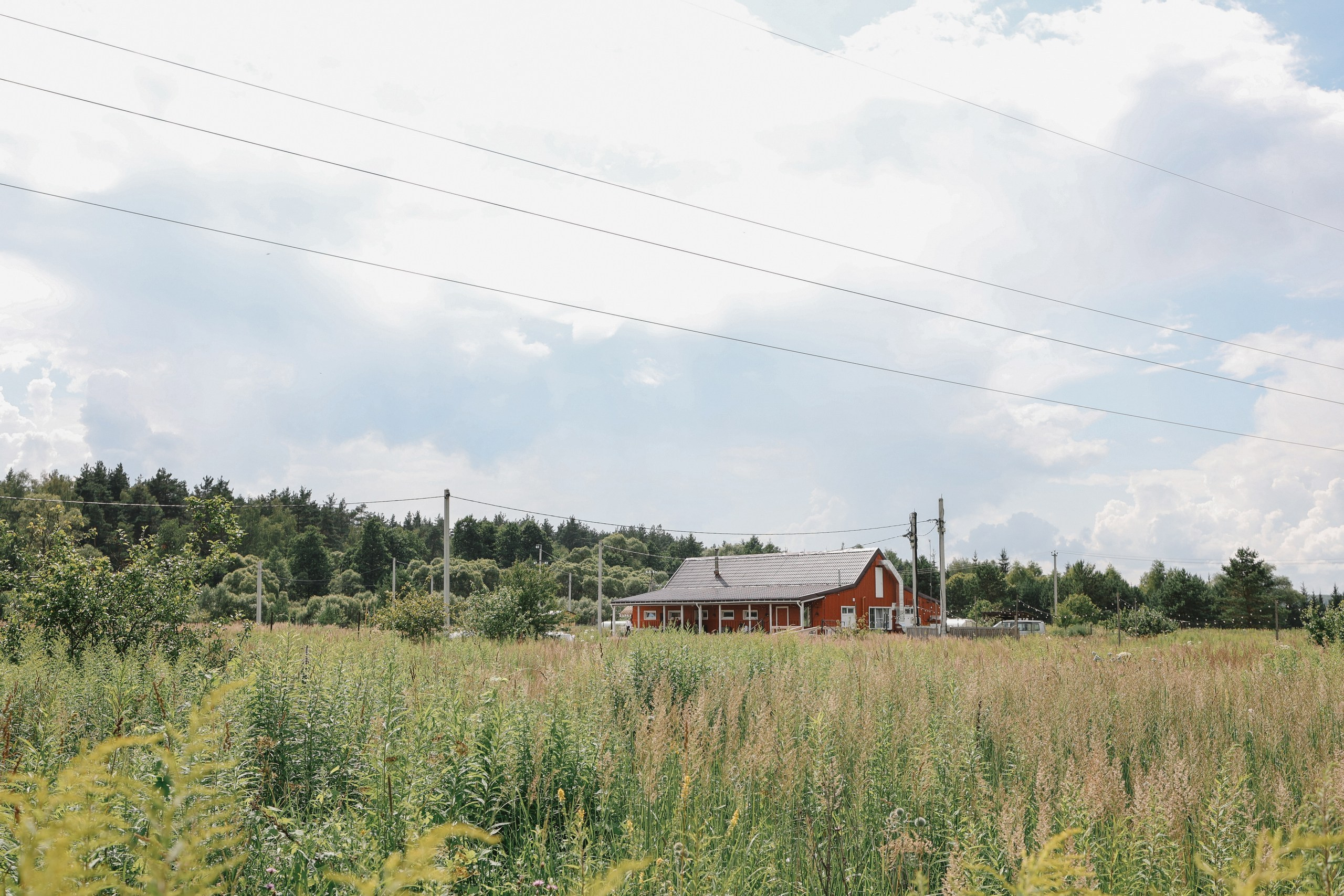 Виктория & Андрей. Оформление свадеб, декор свадеб Вера Маркова, Москва