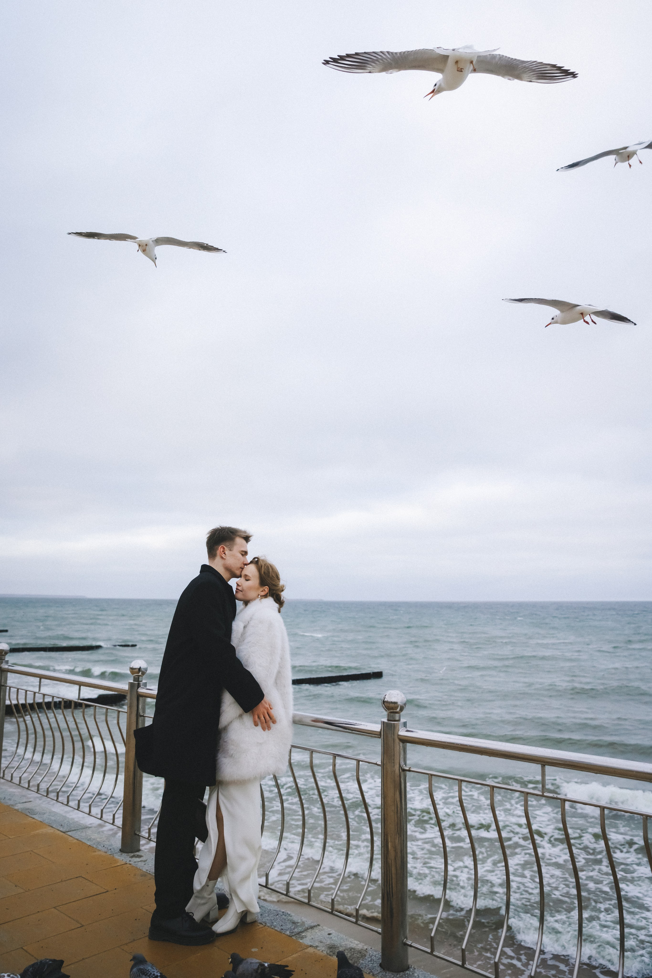 Свадьба в канун Нового года. Фотограф Зеленоградск Красильникова Елена