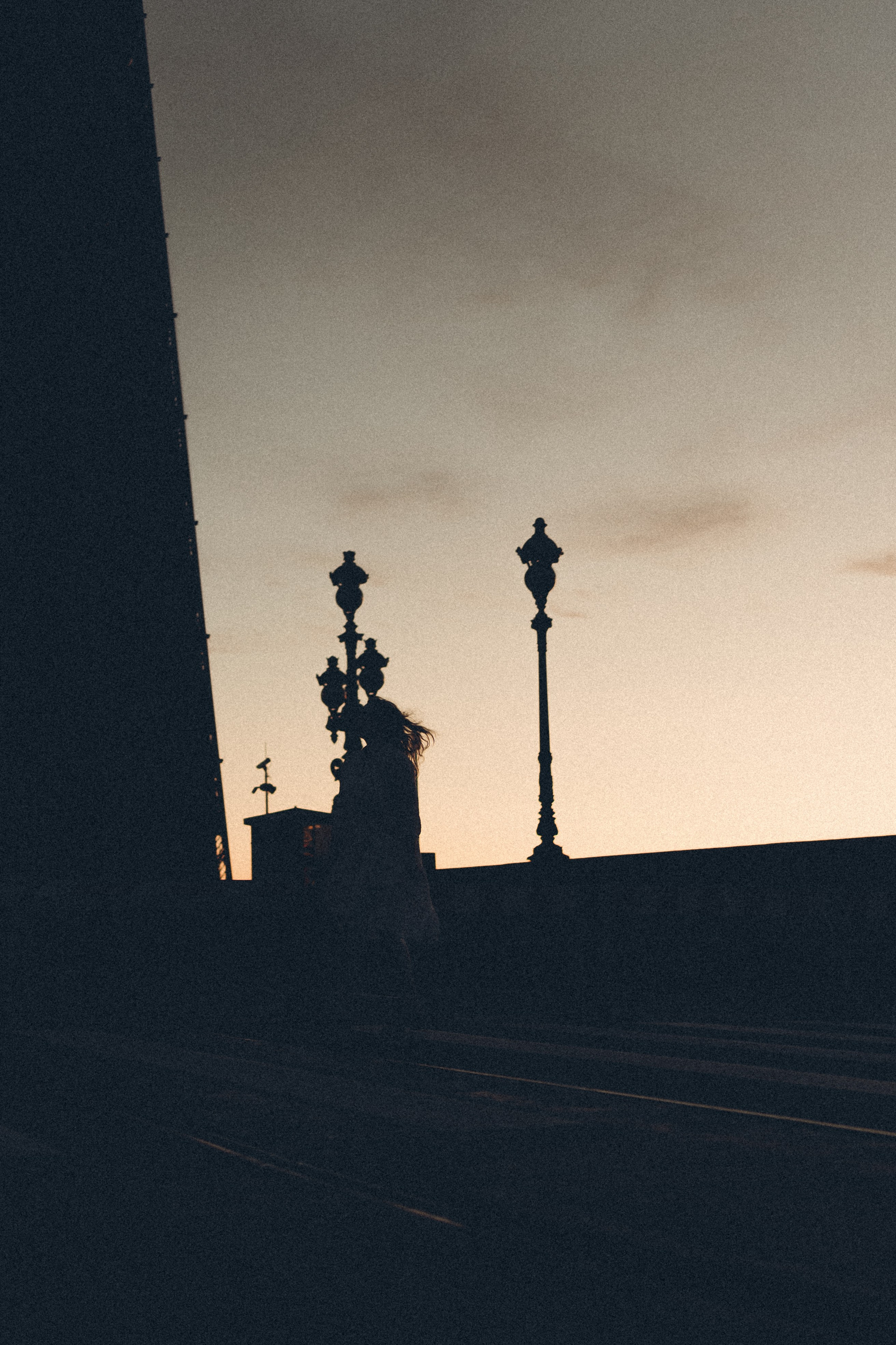 РАССВЕТ С РАЗВОДНЫМИ МОСТАМИ. Профессиональный фотограф, Санкт-Петербург — Виктория Богомолова