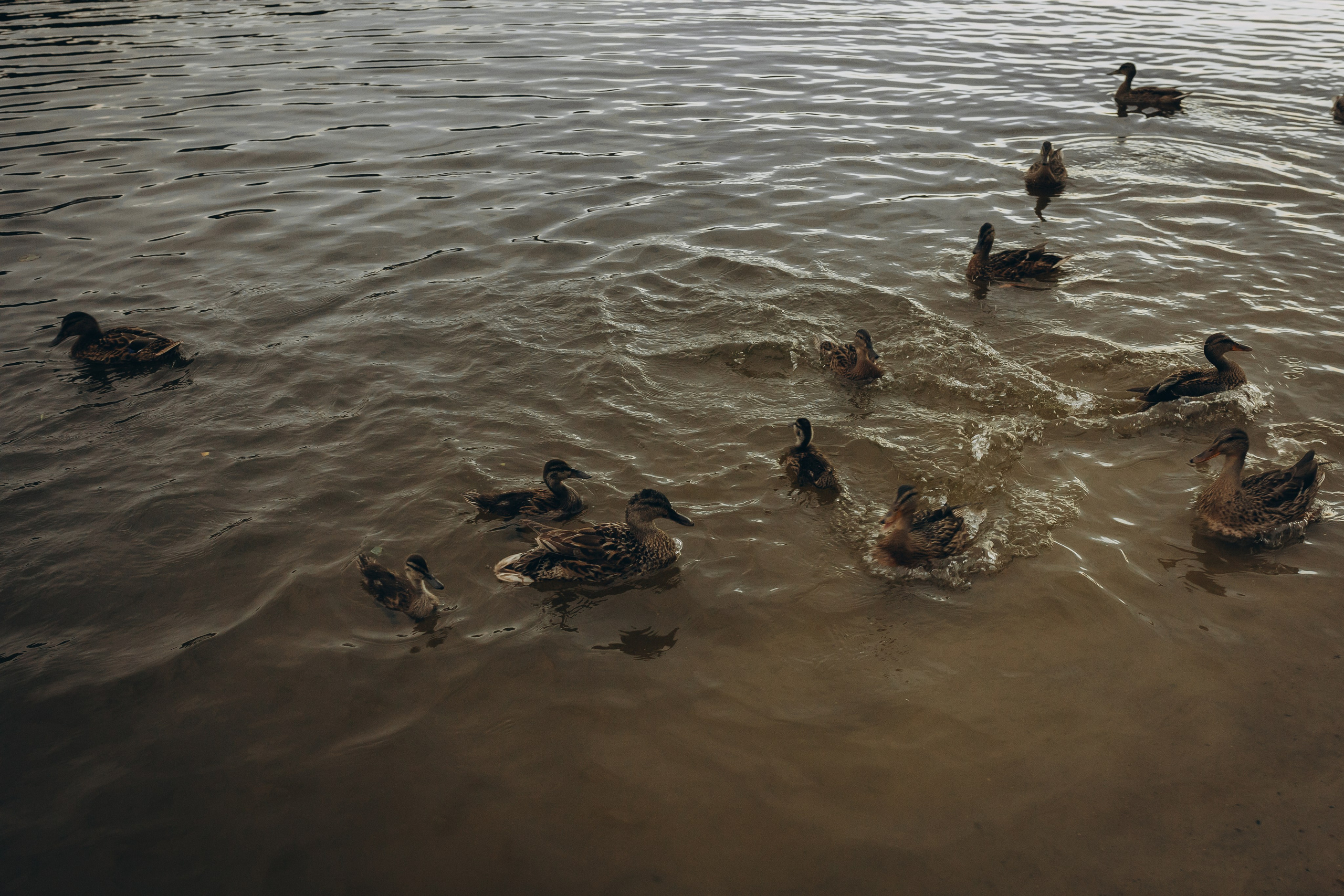 💚. Ph.nataluuna ФОТОГРАФ СЕРГИЕВ ПОСАД