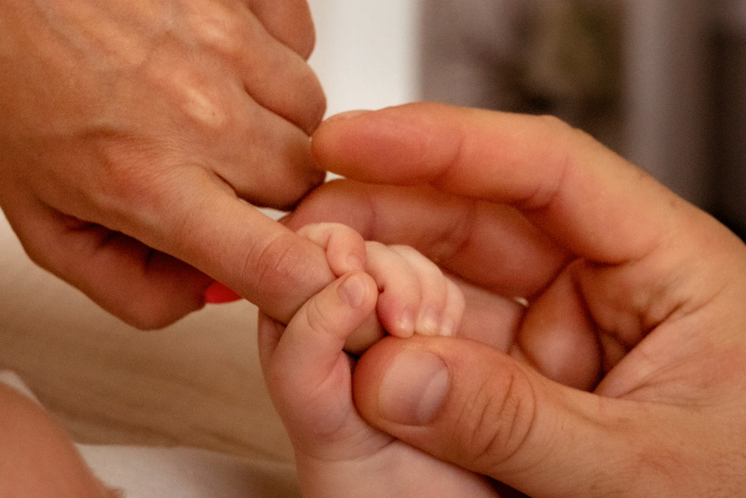 4 месяца (life)