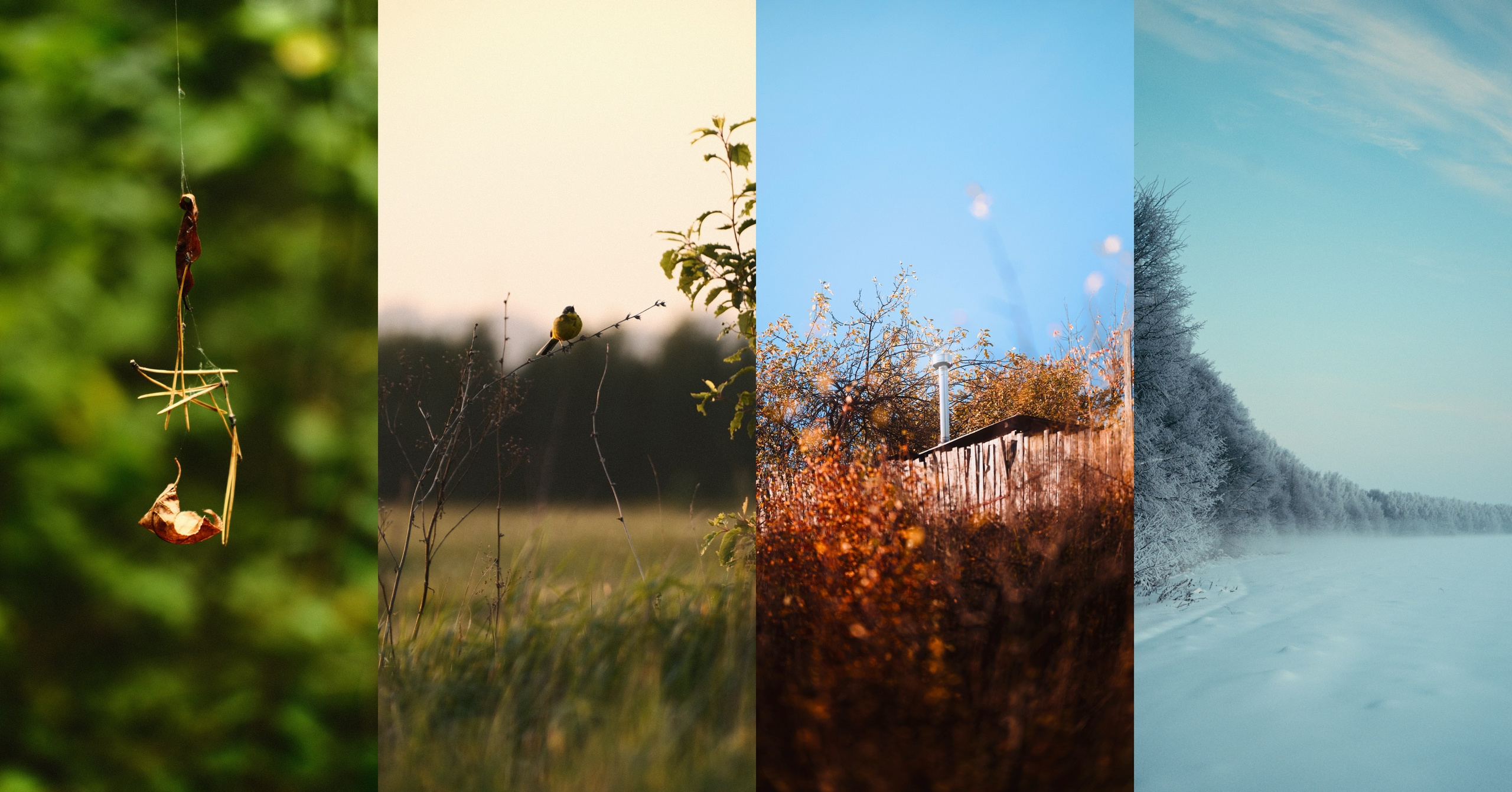 Фотограф-любитель из Кирова Андрей Погребняк