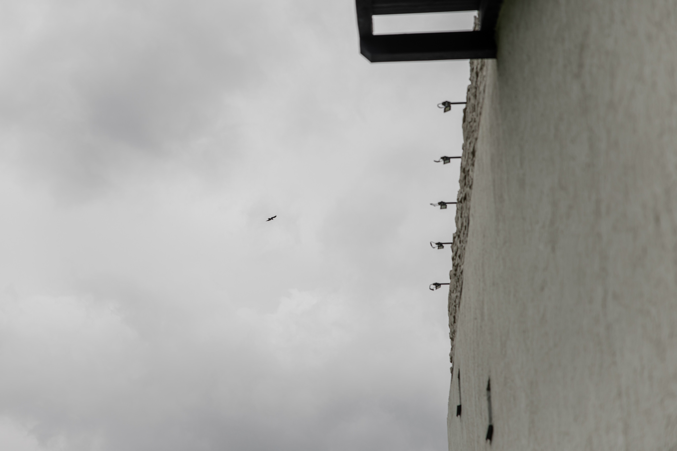 Никита и Марина. Свадебный и Семейный фотограф по всему миру Анна Фёдорова