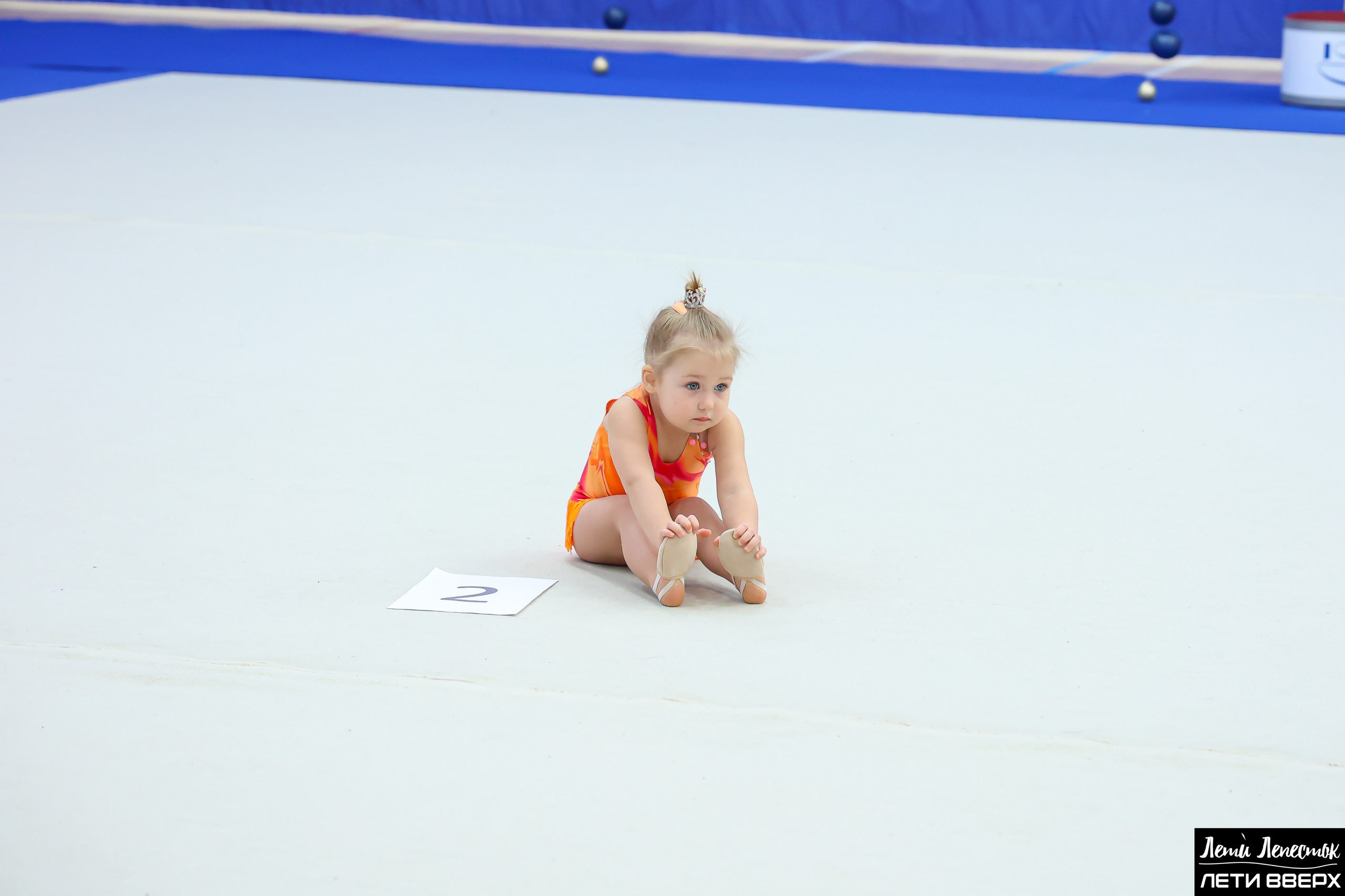 Турнир Лети Вверх 22.03.2025. Фото и видео съемка Ваших мероприятий