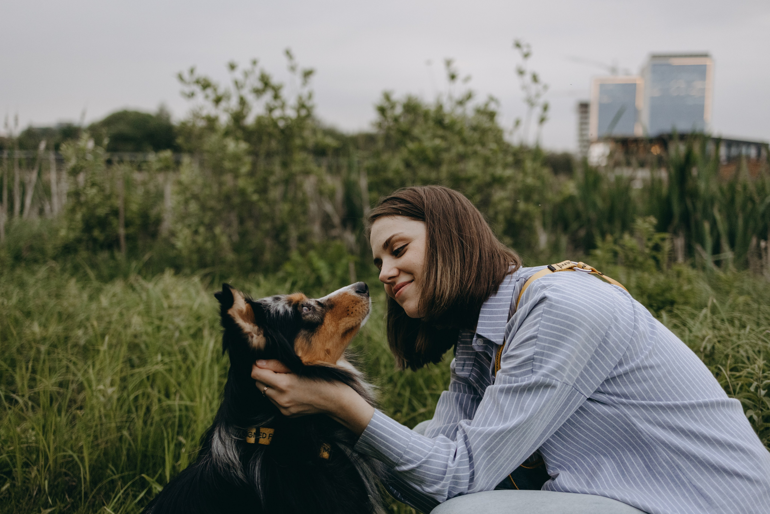 Настя, Никита и их Гром и Мяу. Фотограф — Анималист | Санкт-Петербург