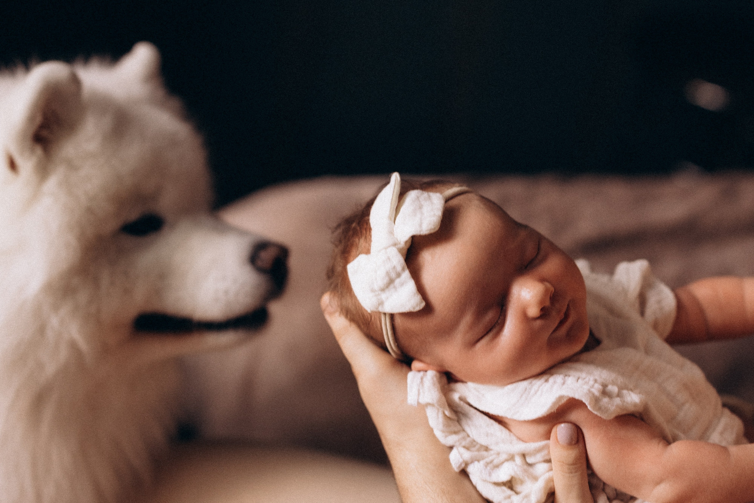 Василиса. Евгения Пелипас