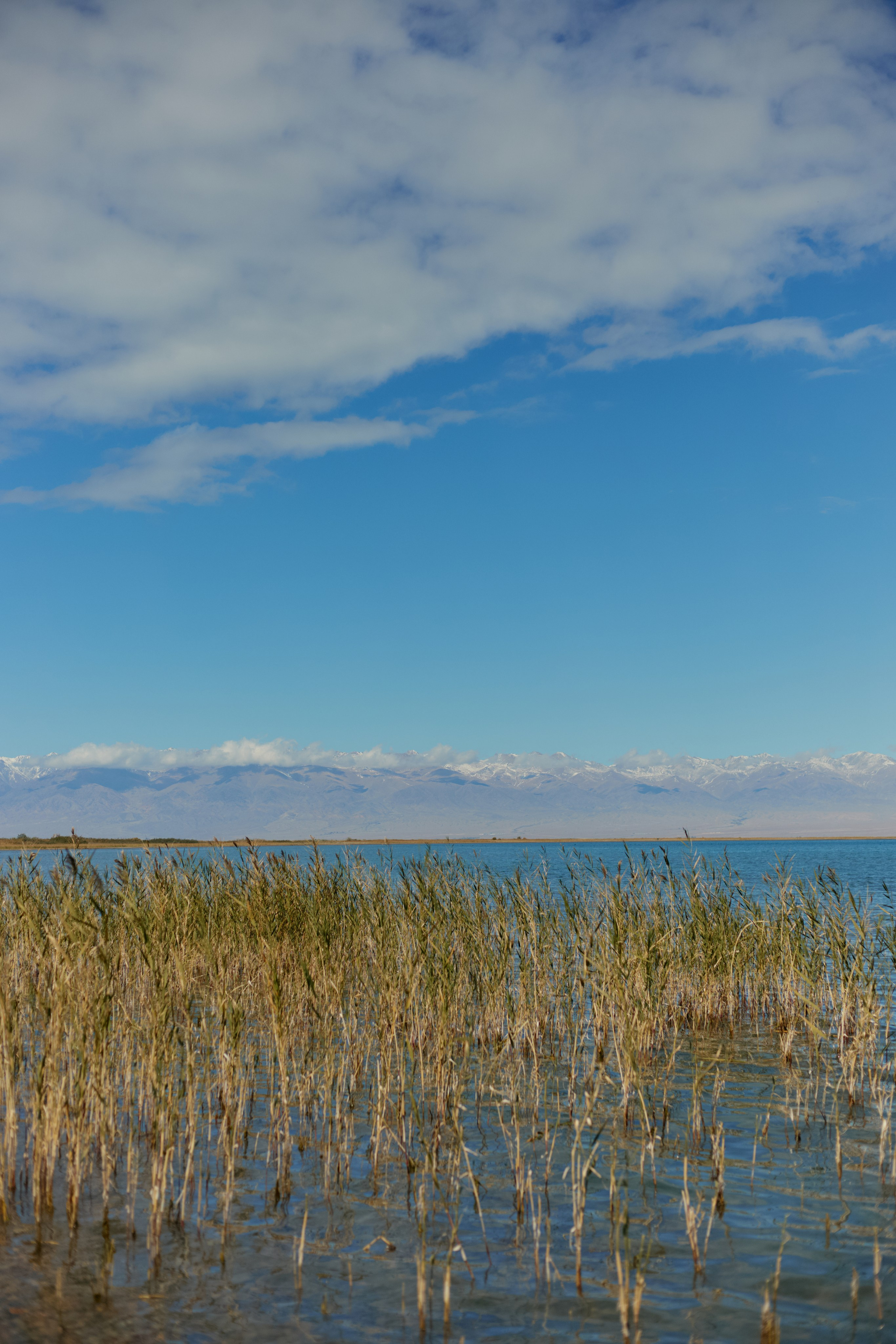 Кыргызтан. Профессиональный Фотограф во Владимире, в Москве и в Суздале — Полина Романычева