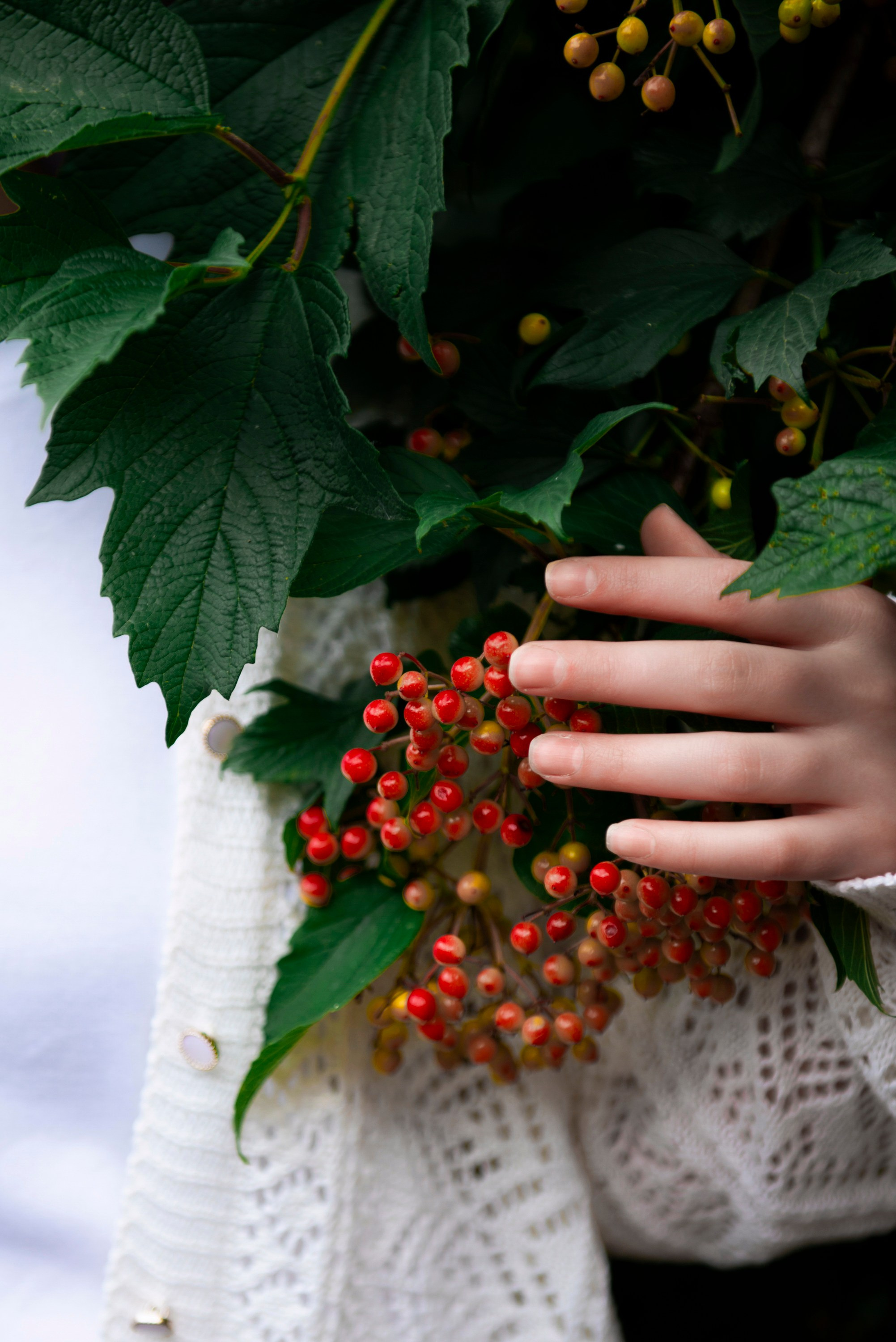 Милана и Эльда. Фотограф. Северная — Осетия