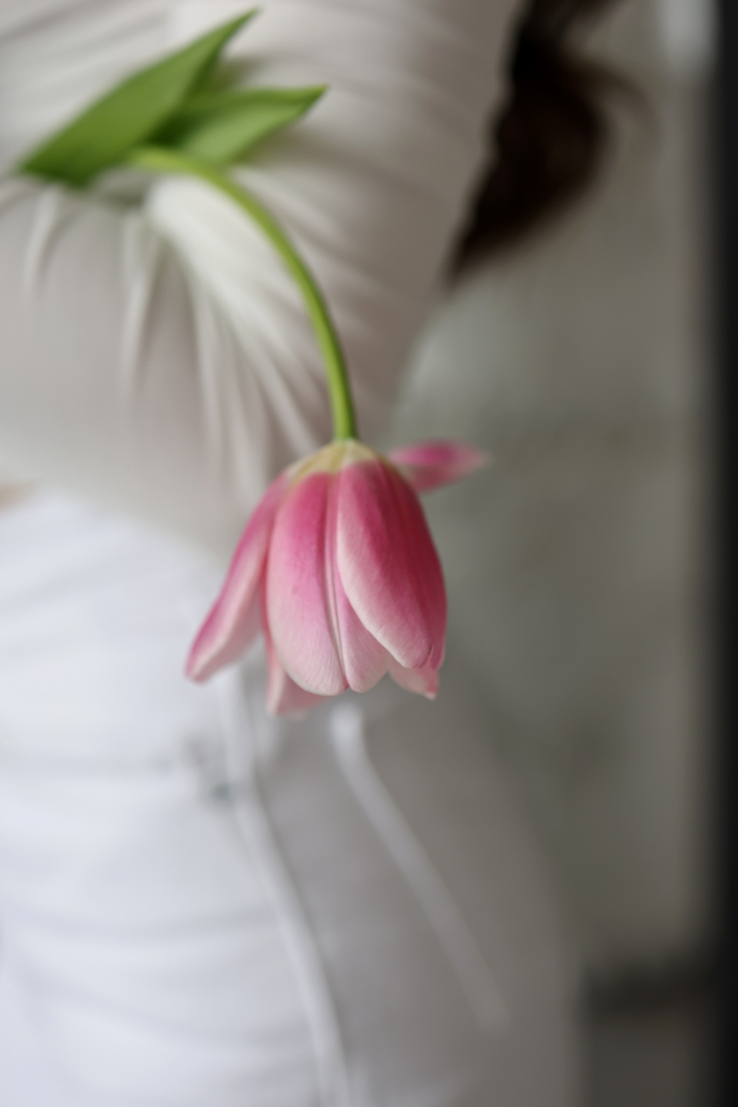 Ирина и Анна. Свадебный и семейный фотограф в Воронеже Ксения Воротникова