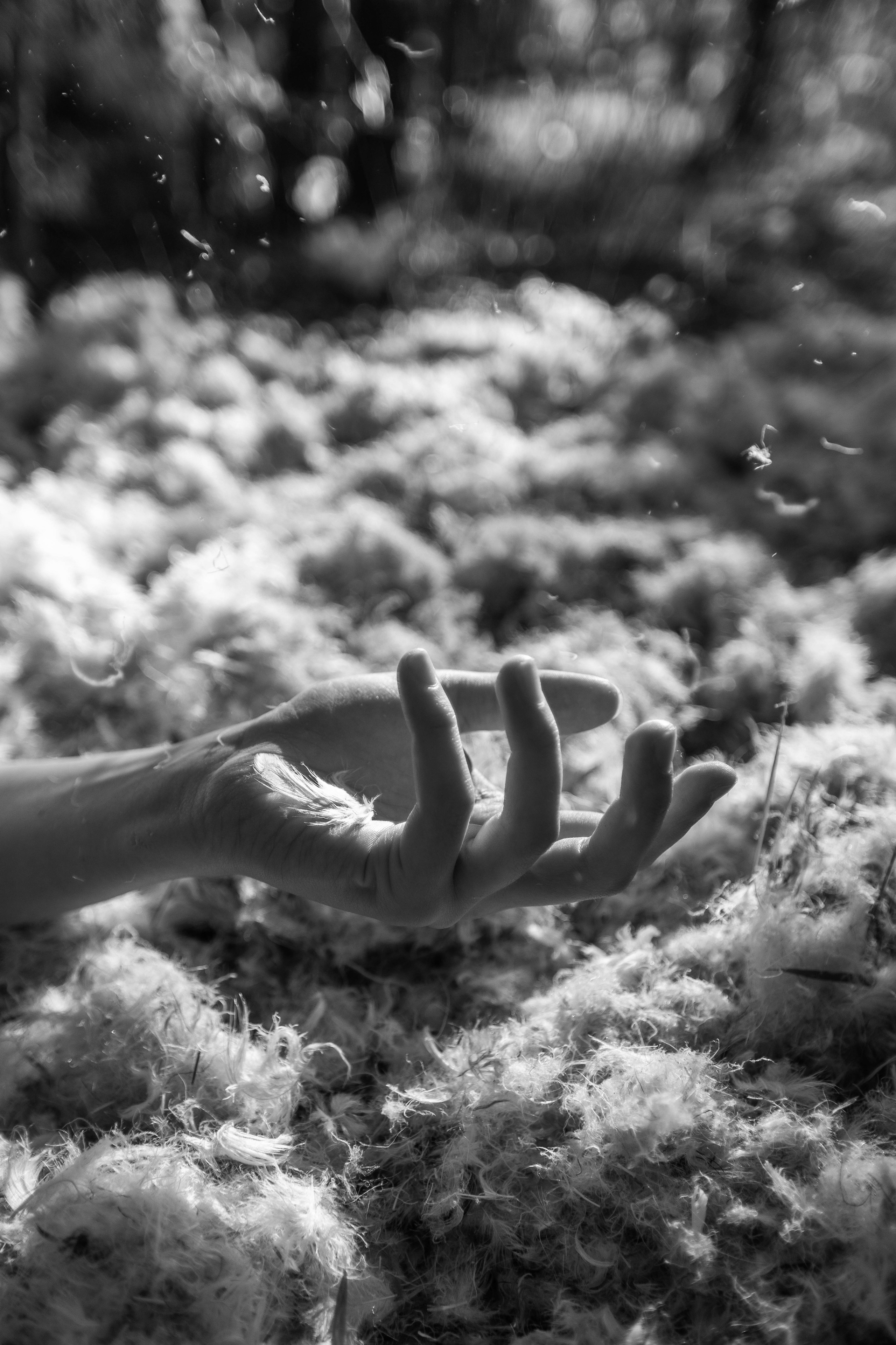 B'n'W. Фотограф в Москве Десятова Ксения