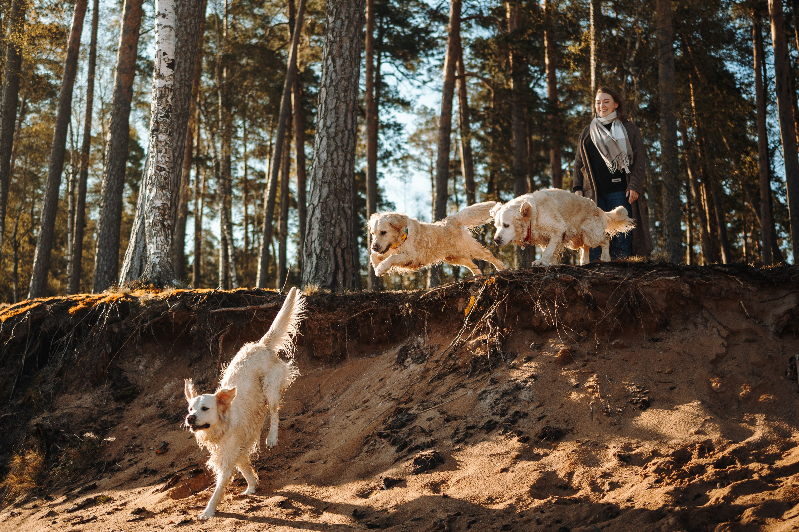 Катя и ее девочки. Фотограф — Анималист | Санкт-Петербург