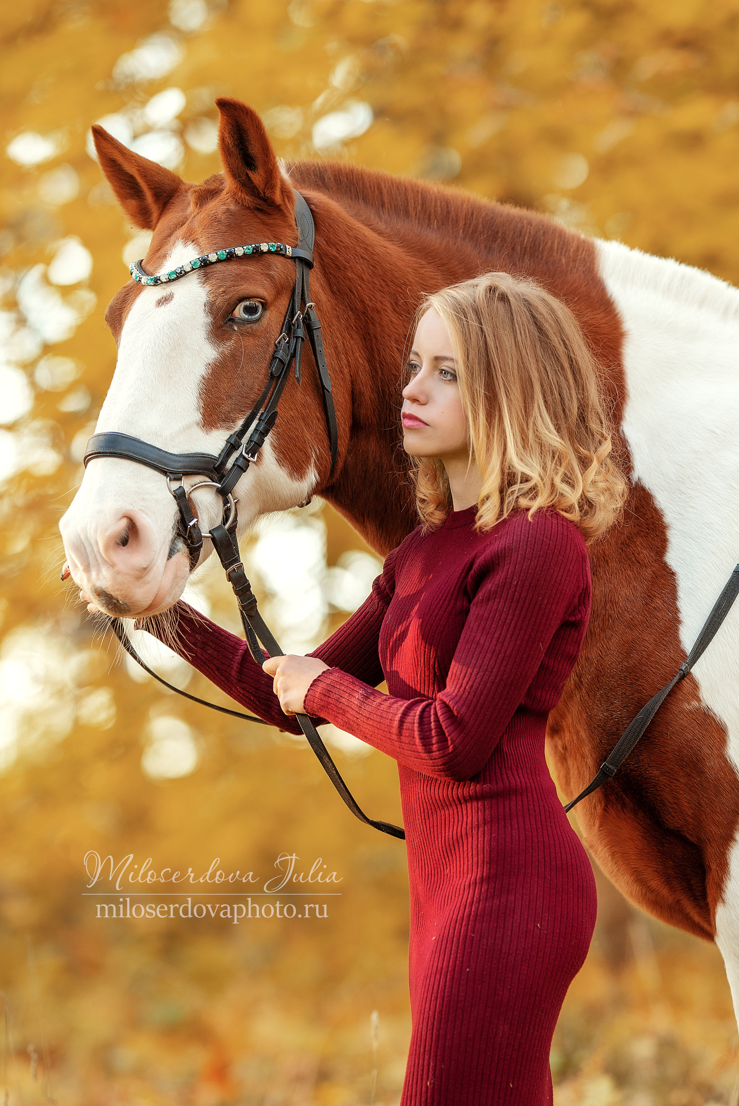 Фотосъёмки с лошадьми. Фотограф Юлия Милосердова