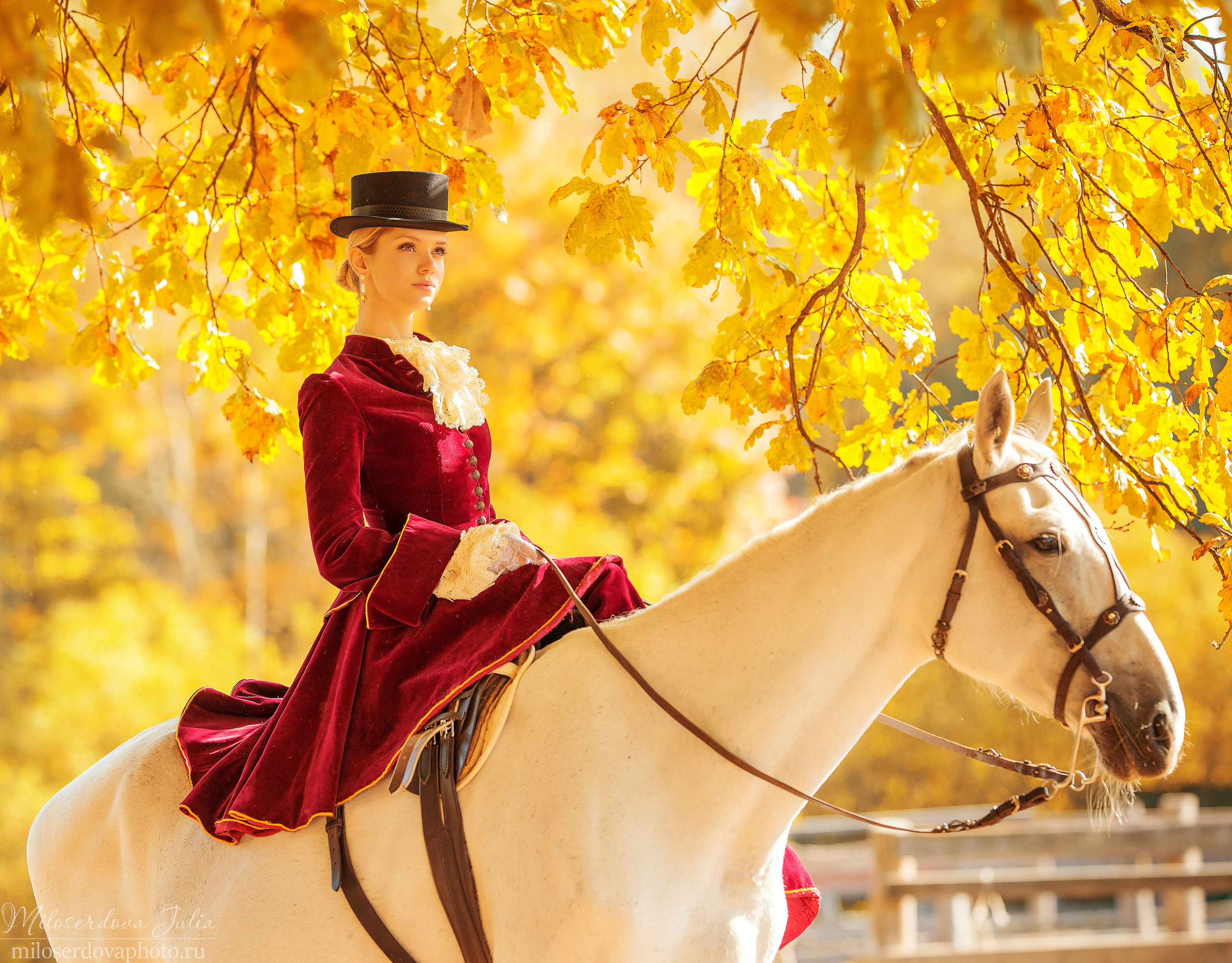 Дамская верховая езда. Фотограф Юлия Милосердова