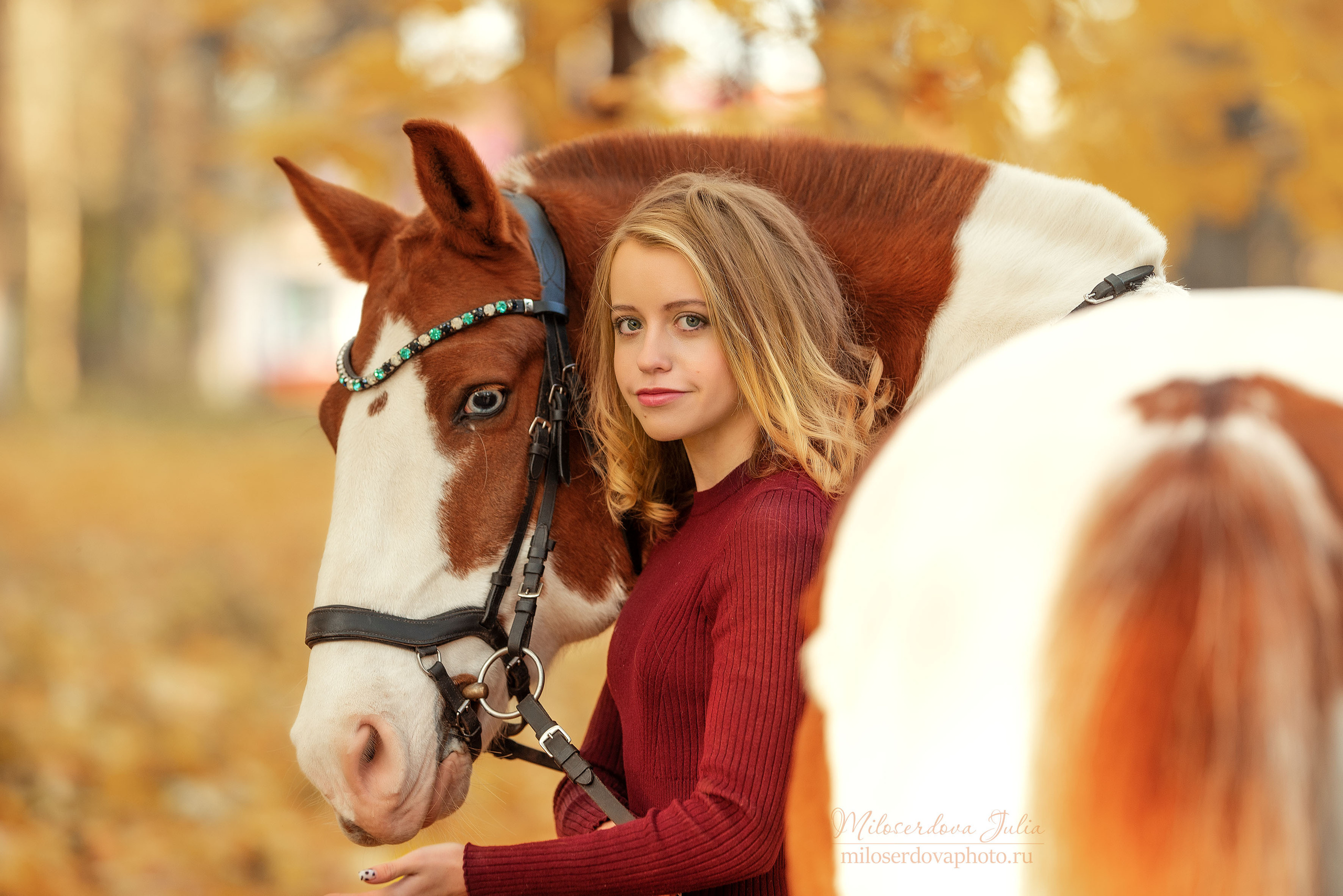 Фотосессии с лошадьми. Фотограф Юлия Милосердова