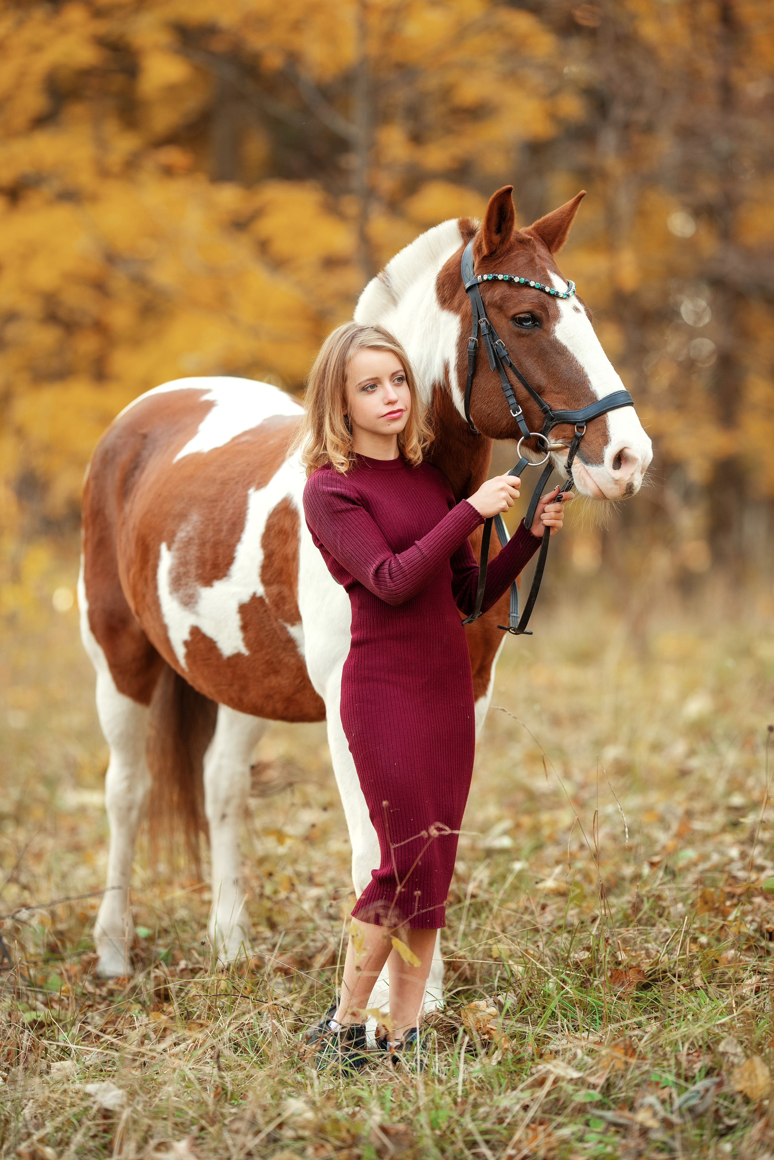 Фотосессии с лошадьми. Фотограф Юлия Милосердова