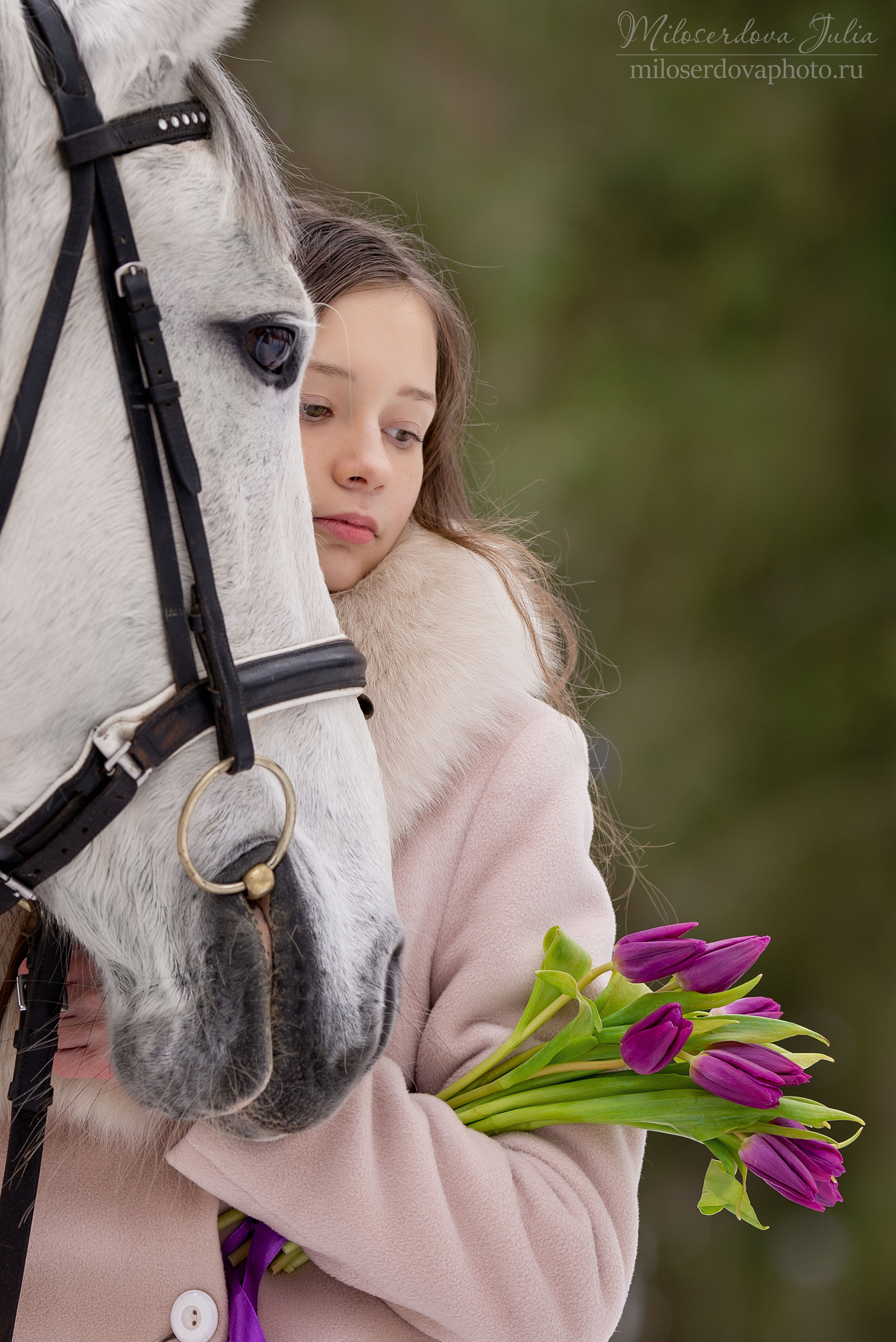 Фотосъёмки с лошадьми. Фотограф Юлия Милосердова